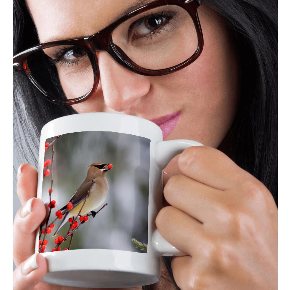 3dRose Cedar Waxwing eating Common Winterberry, Marion, Illinois, USA. - Mugs (mug_207622)