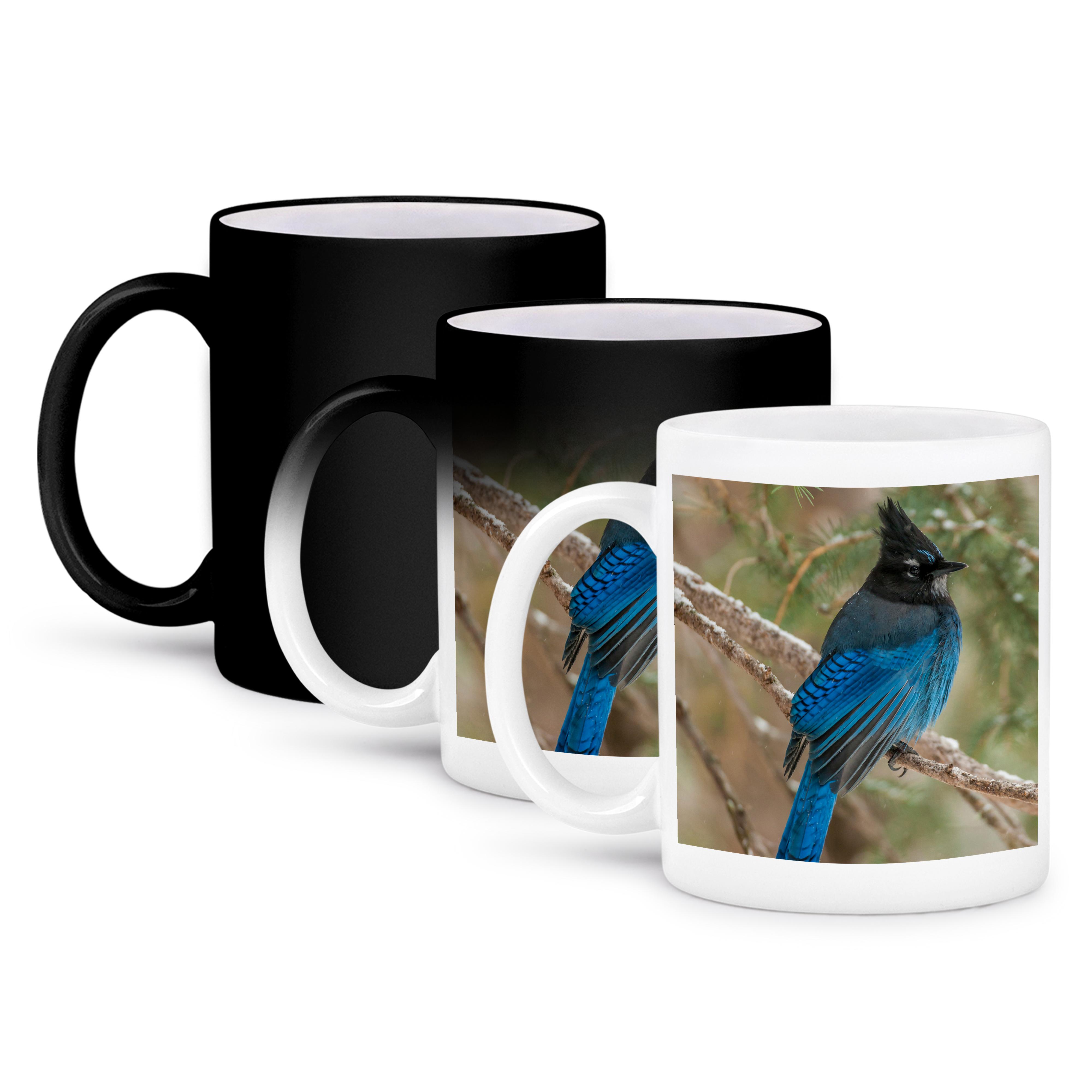 3dRose, USA, Wyoming, Yellowstone NP. Stellers jay bird in tree., Mug - Bild 57 von 99