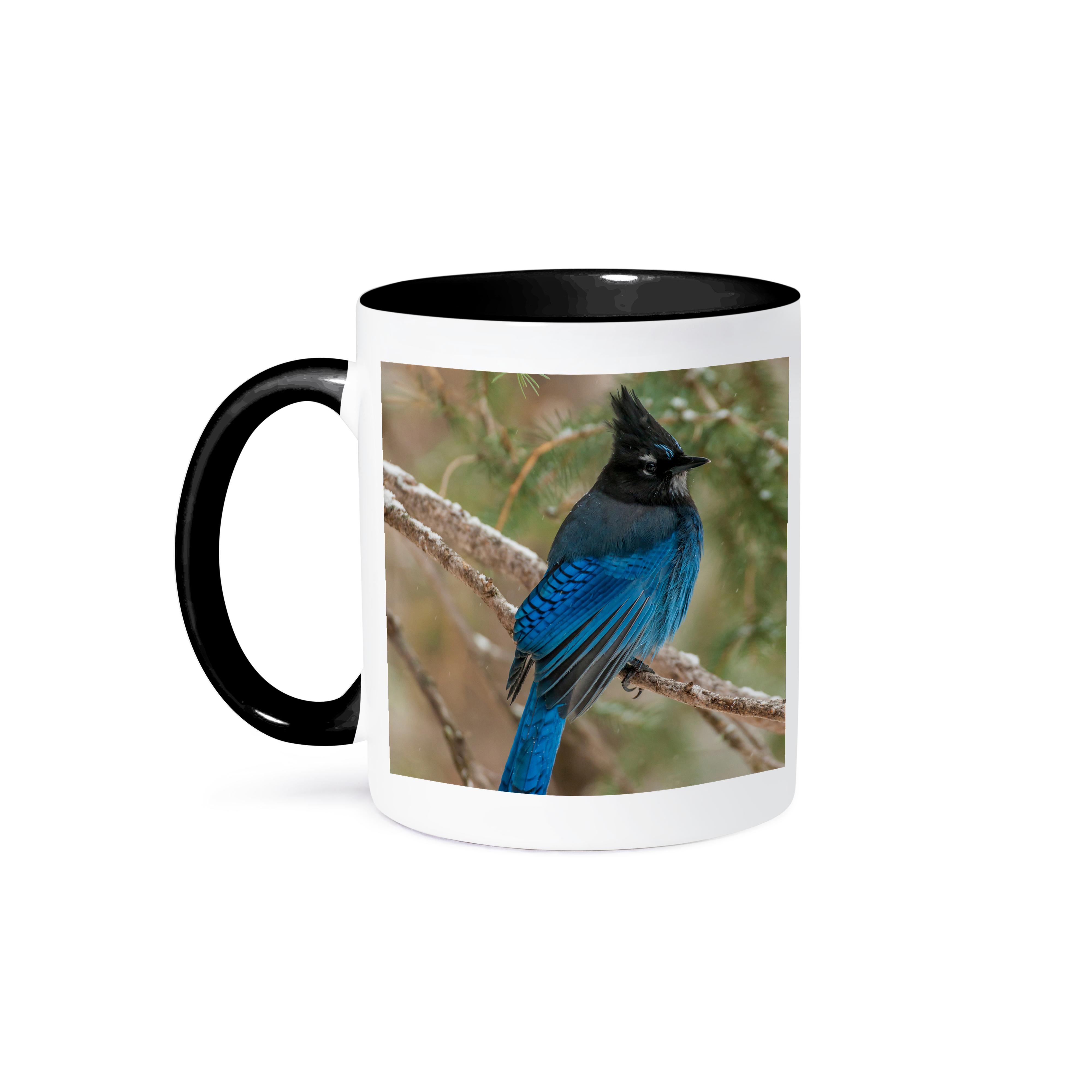 3dRose, USA, Wyoming, Yellowstone NP. Stellers jay bird in tree., Mug - Bild 15 von 99