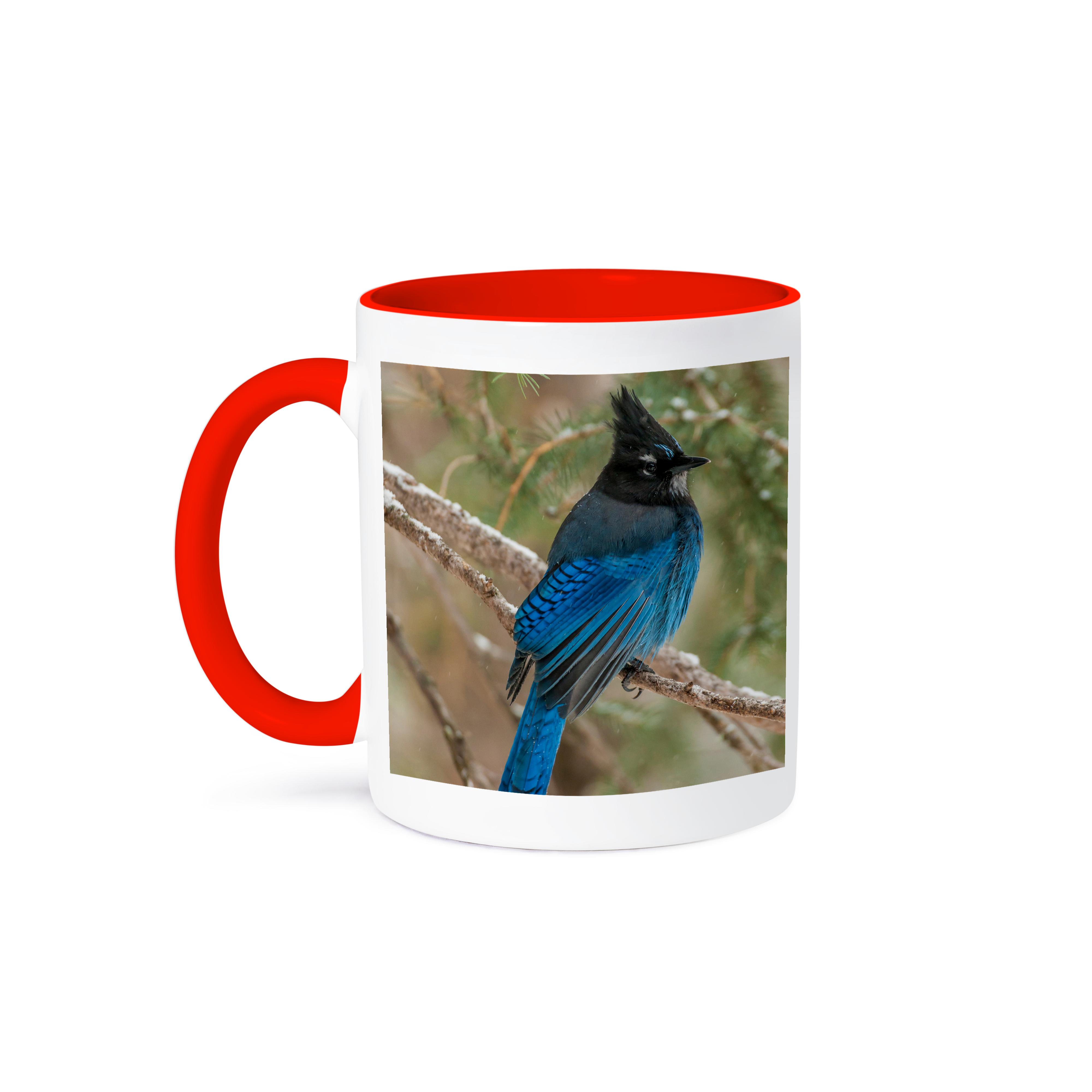 3dRose, USA, Wyoming, Yellowstone NP. Stellers jay bird in tree., Mug - Bild 8 von 99