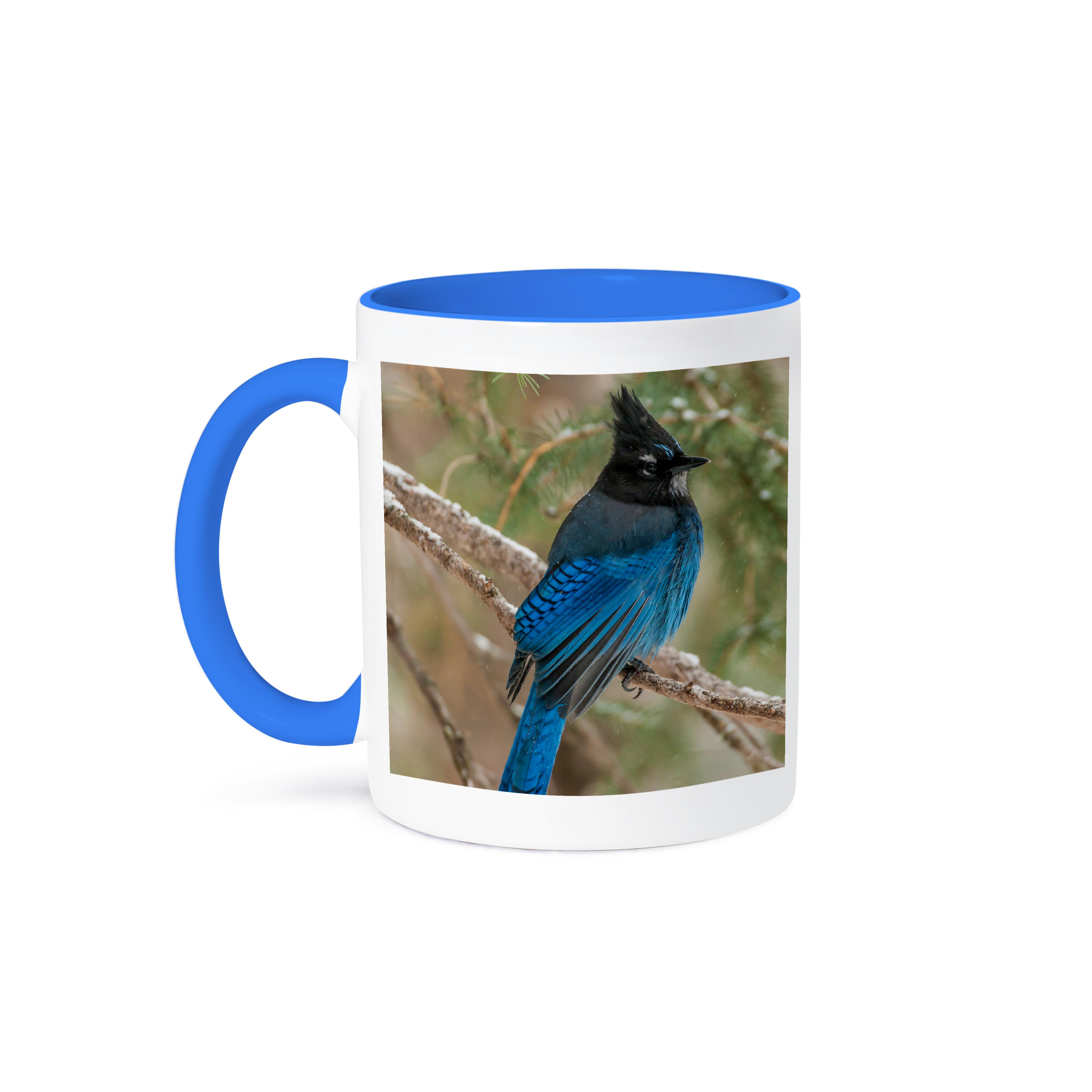3dRose, USA, Wyoming, Yellowstone NP. Stellers jay bird in tree., Mug - Bild 50 von 99