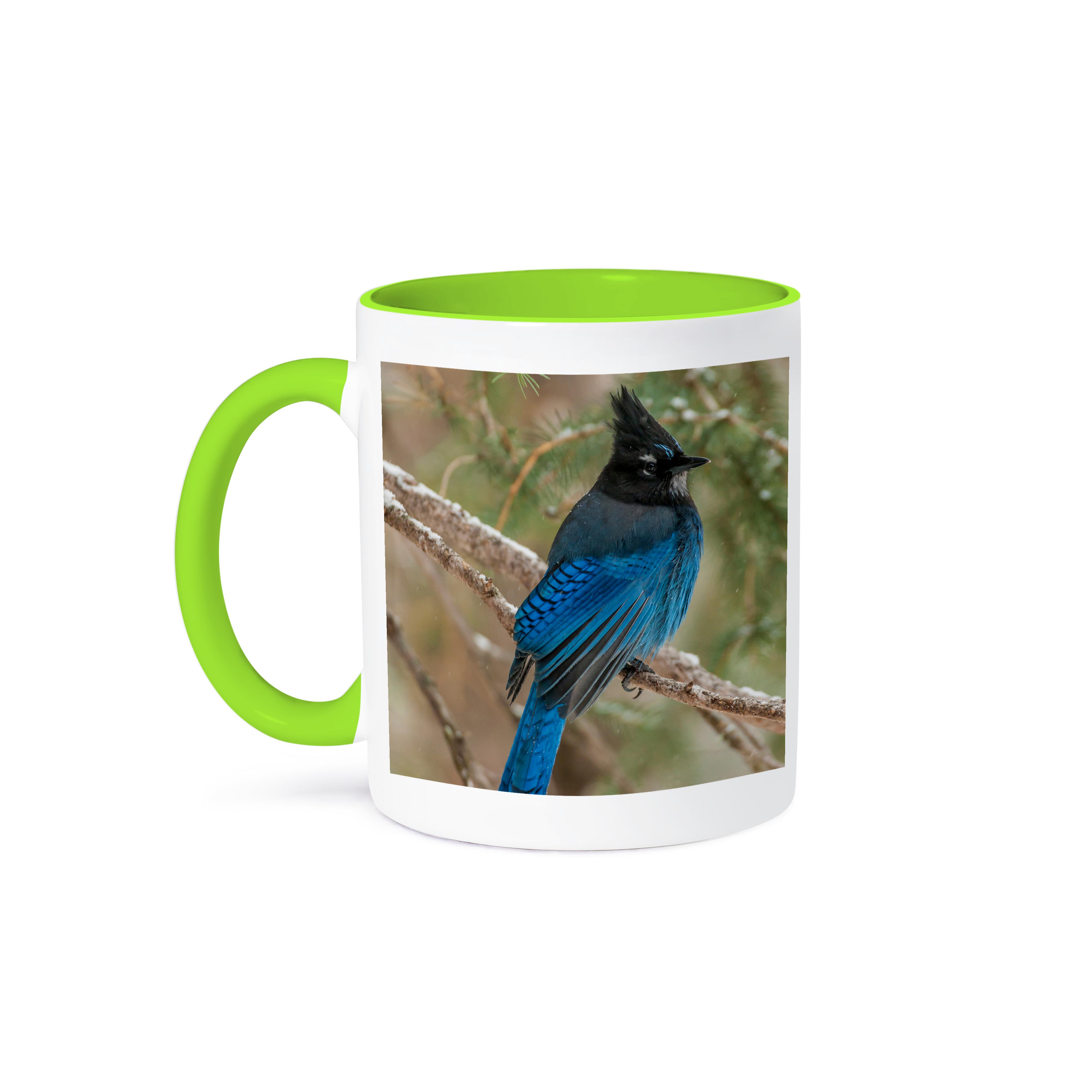 3dRose, USA, Wyoming, Yellowstone NP. Stellers jay bird in tree., Mug - Bild 79 von 99