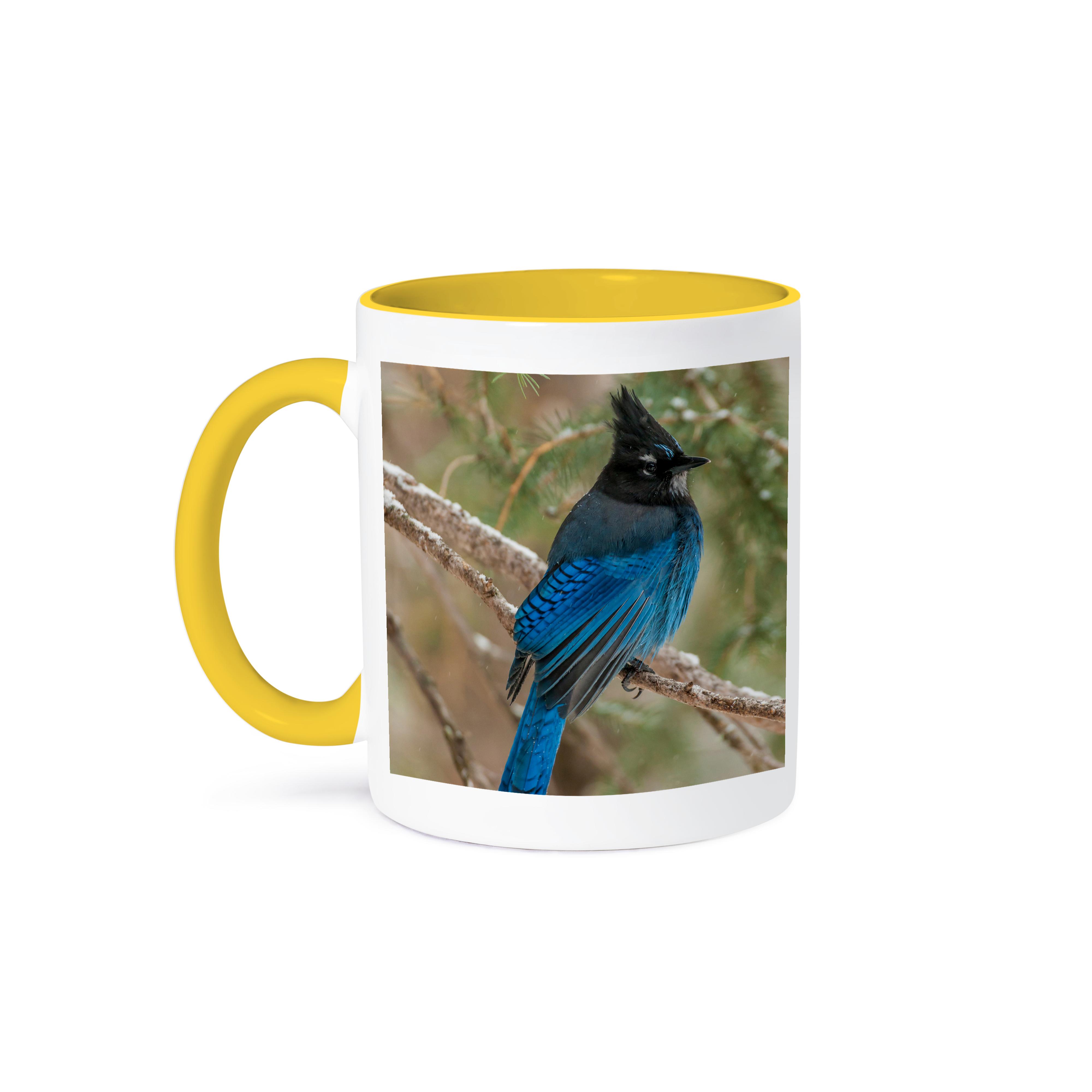 3dRose, USA, Wyoming, Yellowstone NP. Stellers jay bird in tree., Mug - Bild 36 von 99