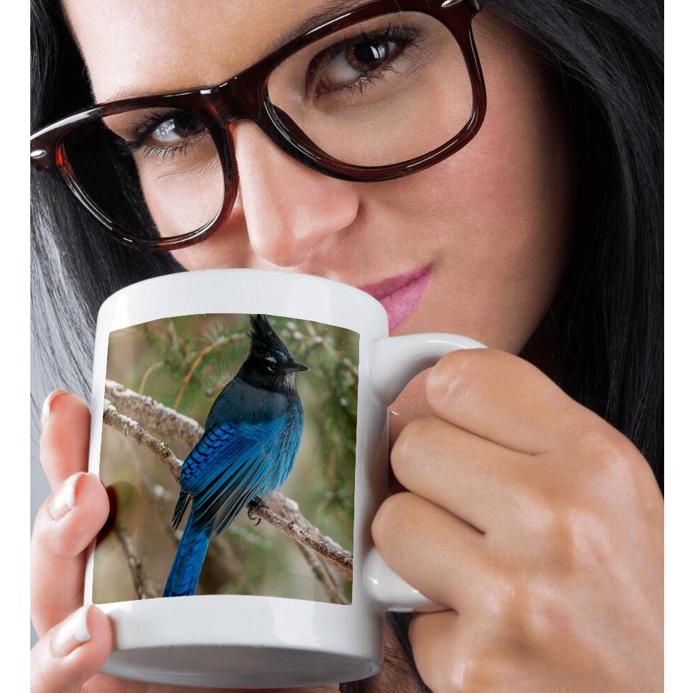 3dRose, USA, Wyoming, Yellowstone NP. Stellers jay bird in tree., Mug - Bild 30 von 99