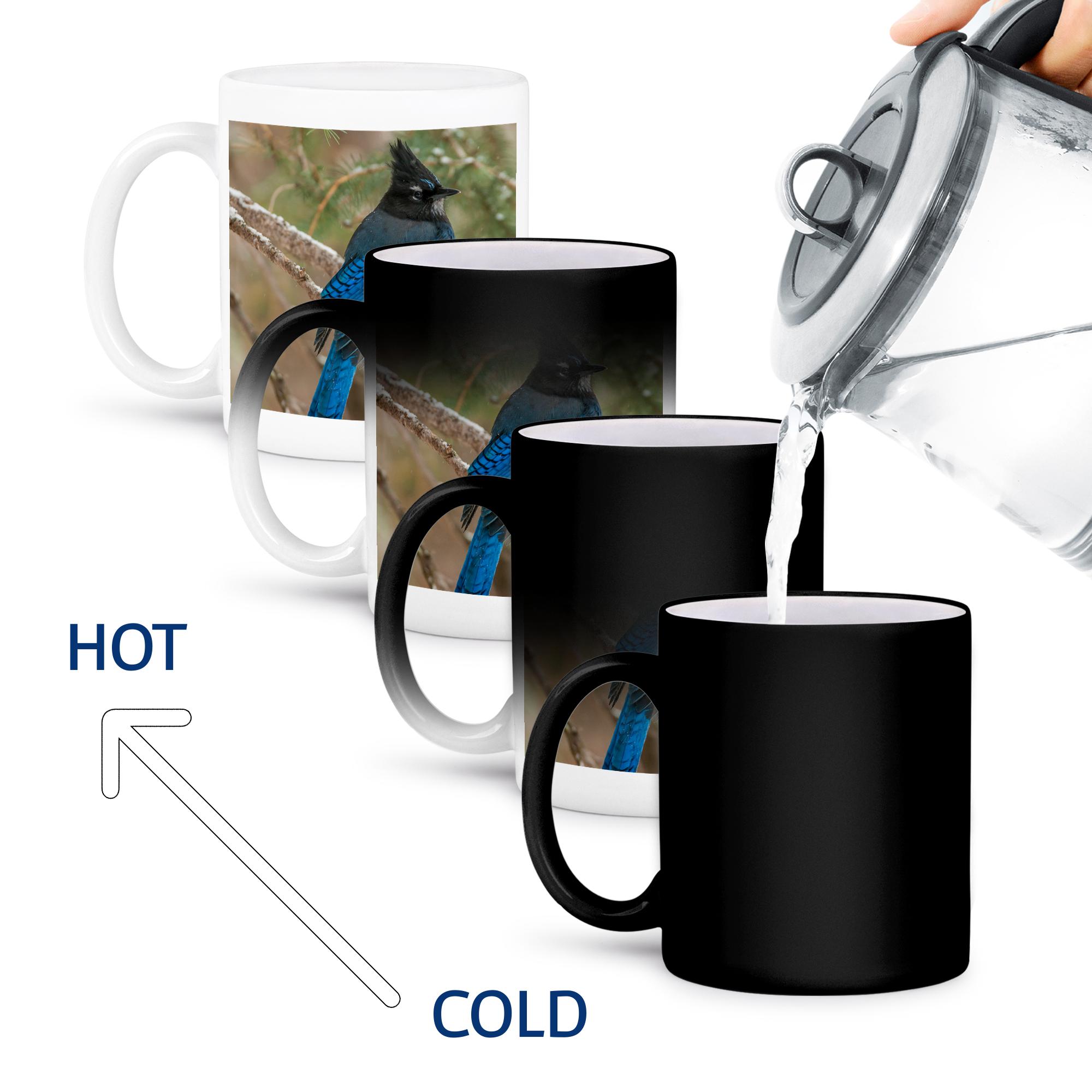 3dRose, USA, Wyoming, Yellowstone NP. Stellers jay bird in tree., Mug - Bild 60 von 99