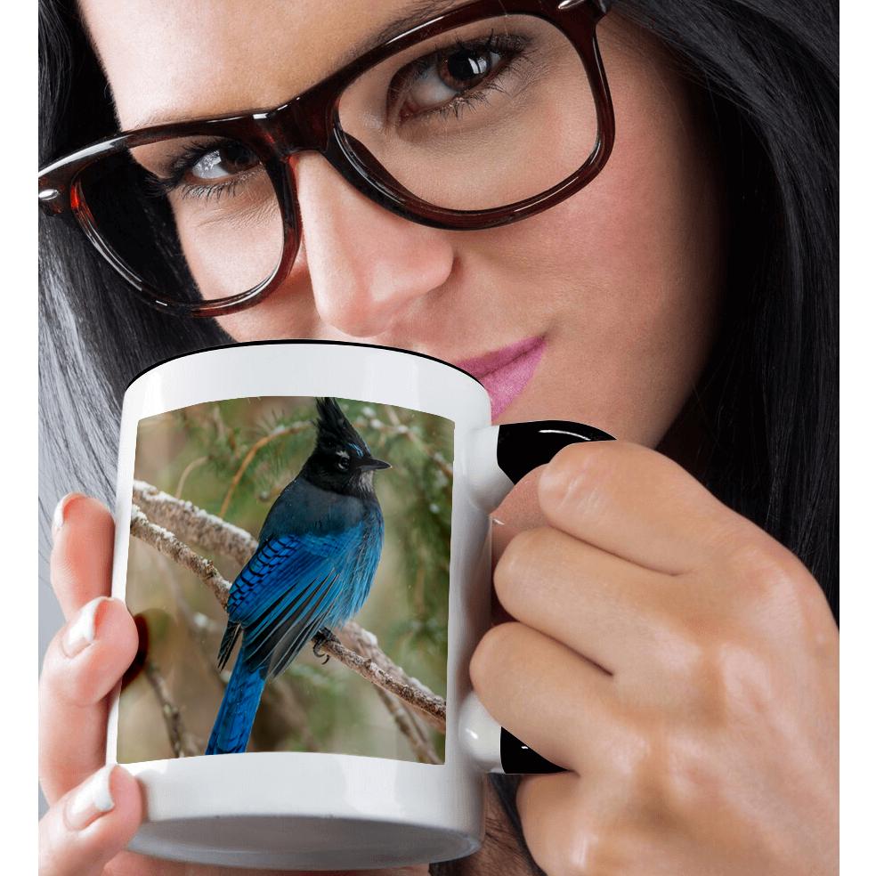 3dRose, USA, Wyoming, Yellowstone NP. Stellers jay bird in tree., Mug - Bild 16 von 99