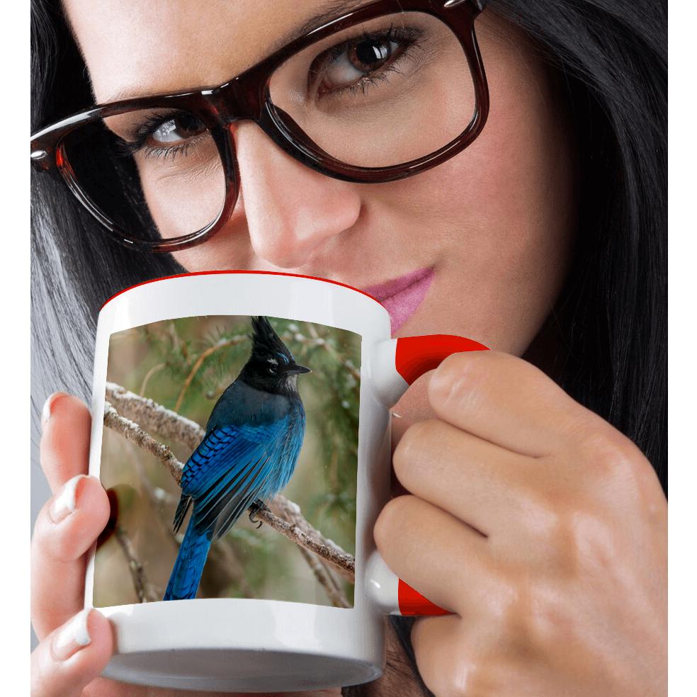 3dRose, USA, Wyoming, Yellowstone NP. Stellers jay bird in tree., Mug - Bild 9 von 99