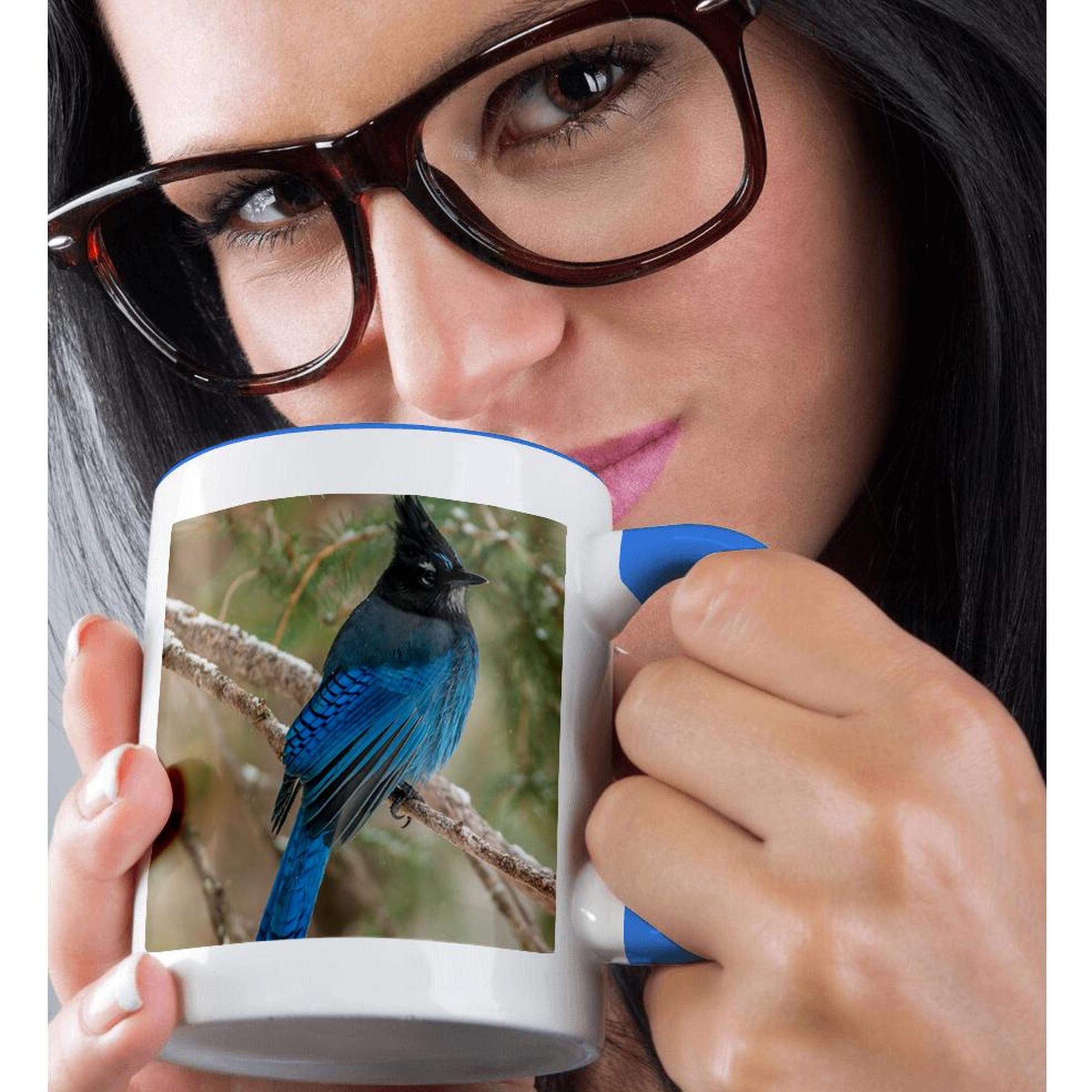3dRose, USA, Wyoming, Yellowstone NP. Stellers jay bird in tree., Mug - Bild 51 von 99