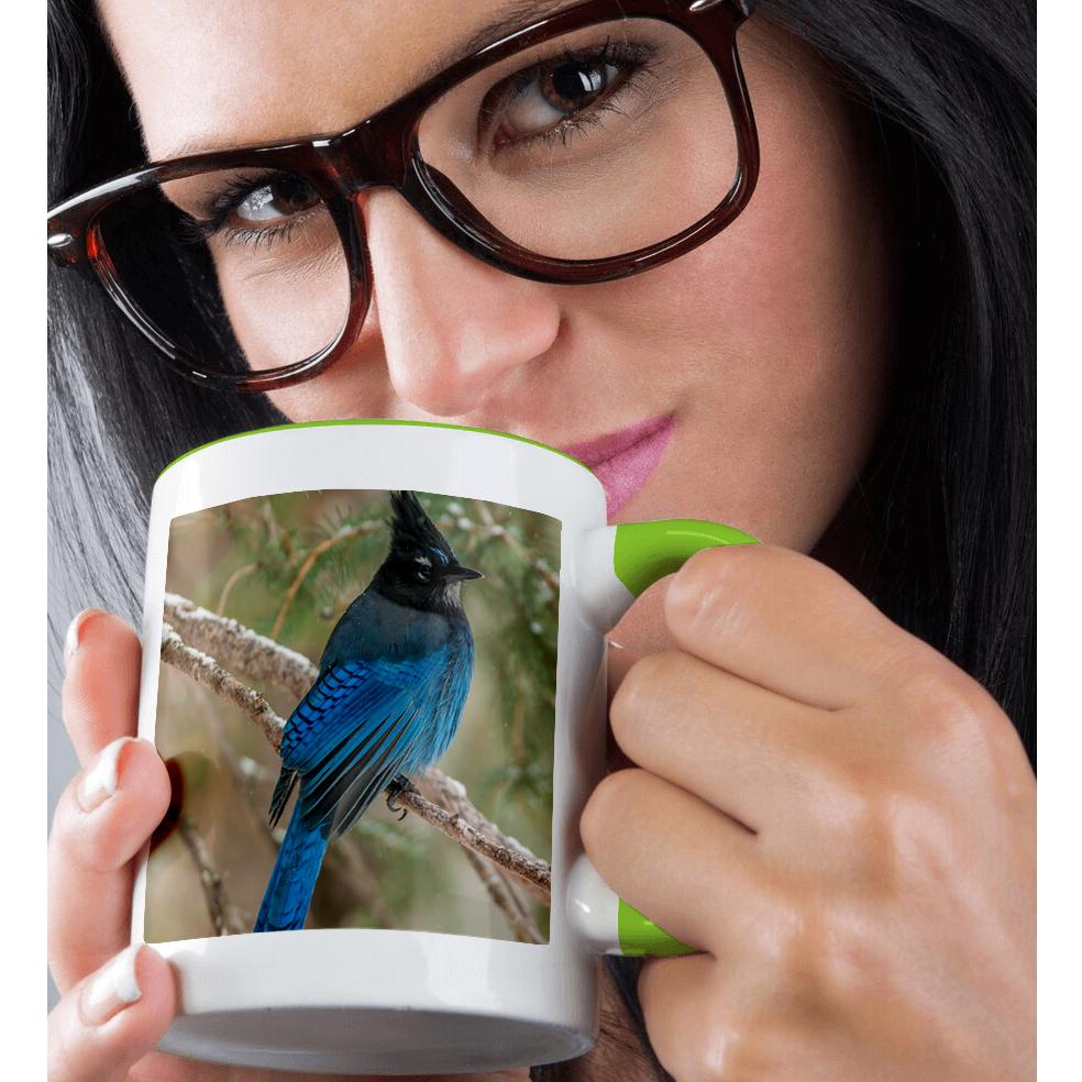 3dRose, USA, Wyoming, Yellowstone NP. Stellers jay bird in tree., Mug - Bild 80 von 99
