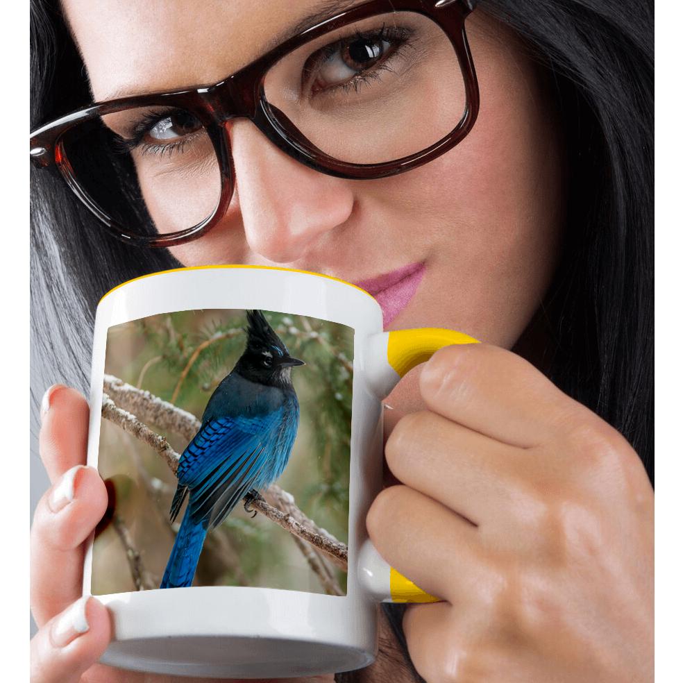 3dRose, USA, Wyoming, Yellowstone NP. Stellers jay bird in tree., Mug - Bild 37 von 99