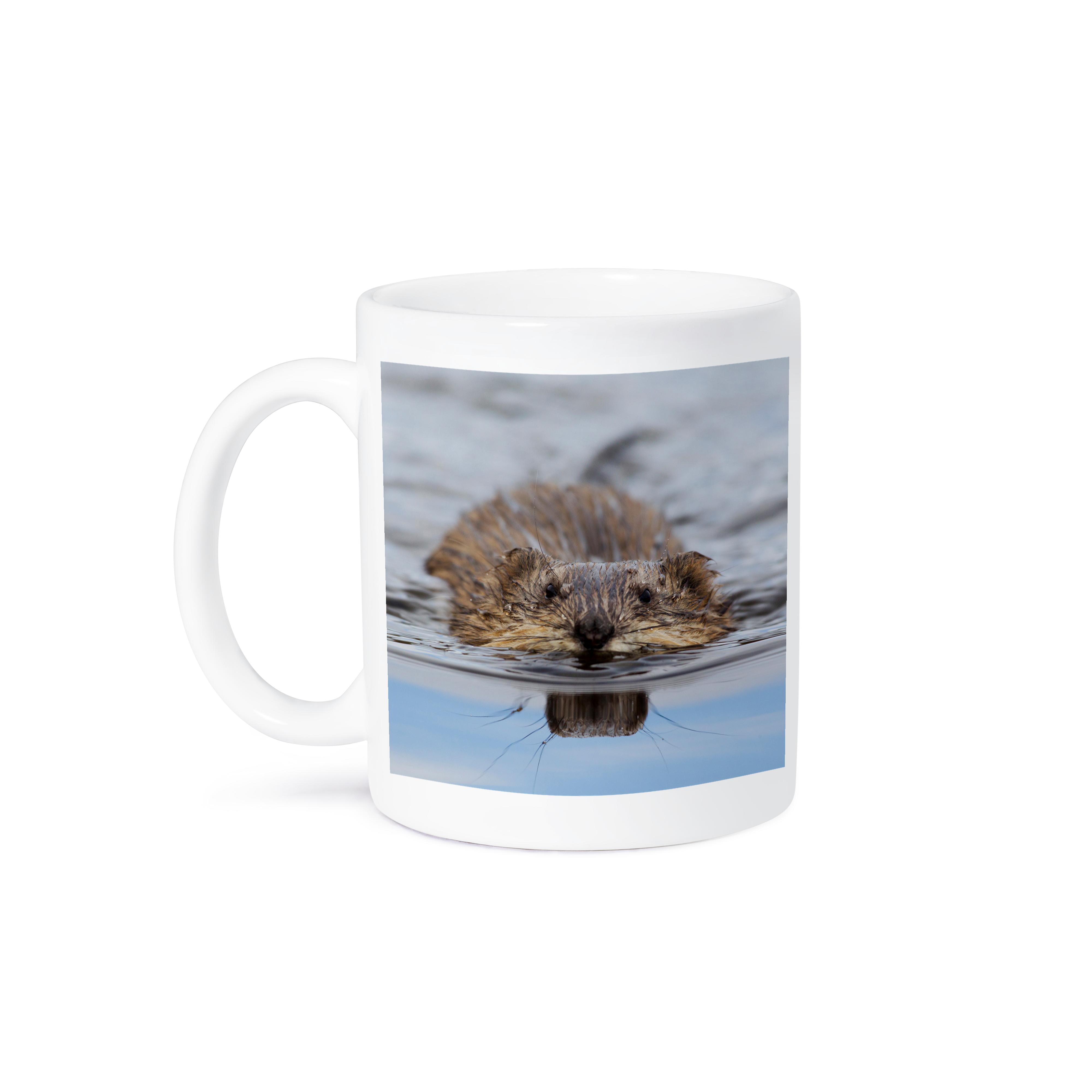 3dRose, Muskrat Swimming, Mug - Picture 29 of 99