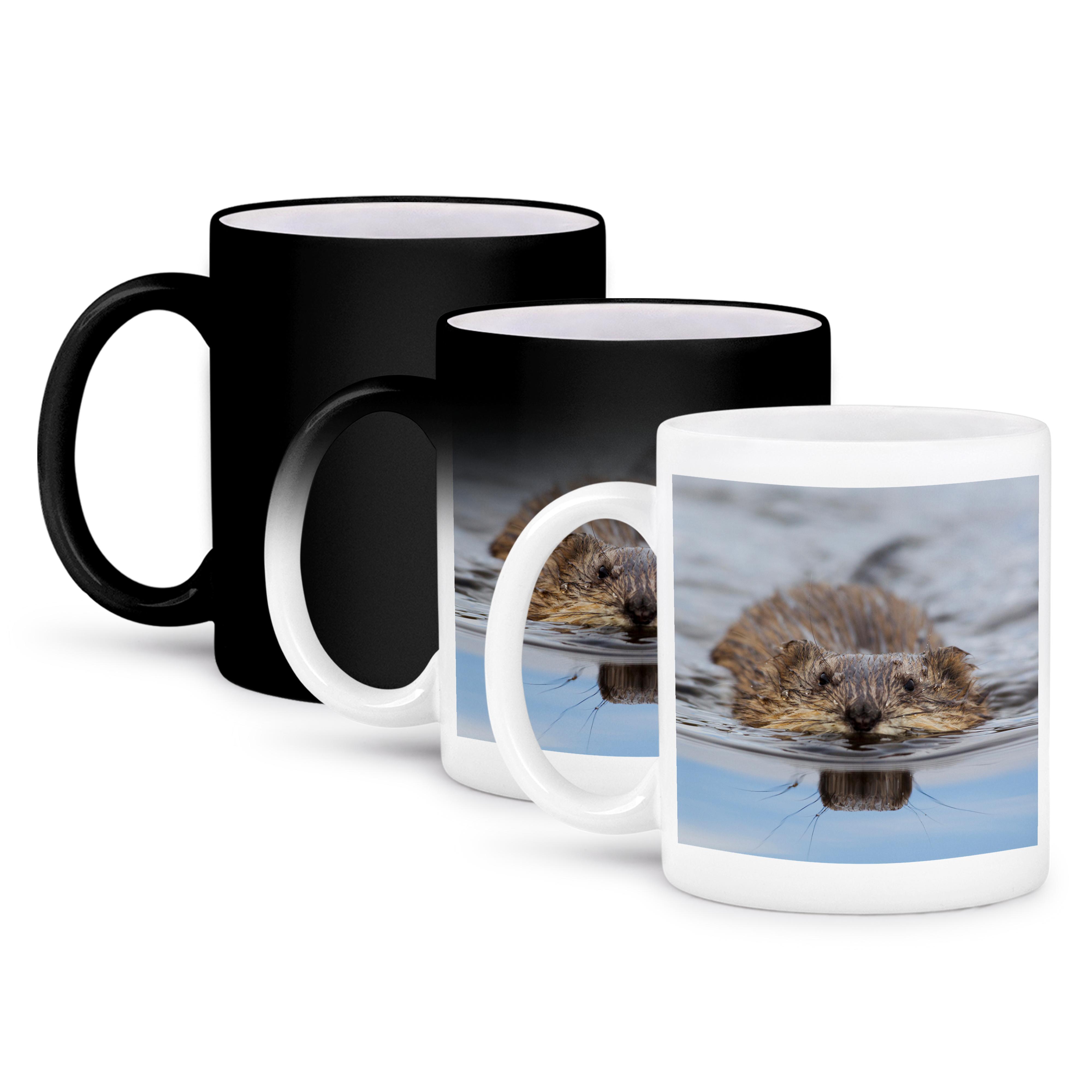 3dRose, Muskrat Swimming, Mug - Picture 57 of 99
