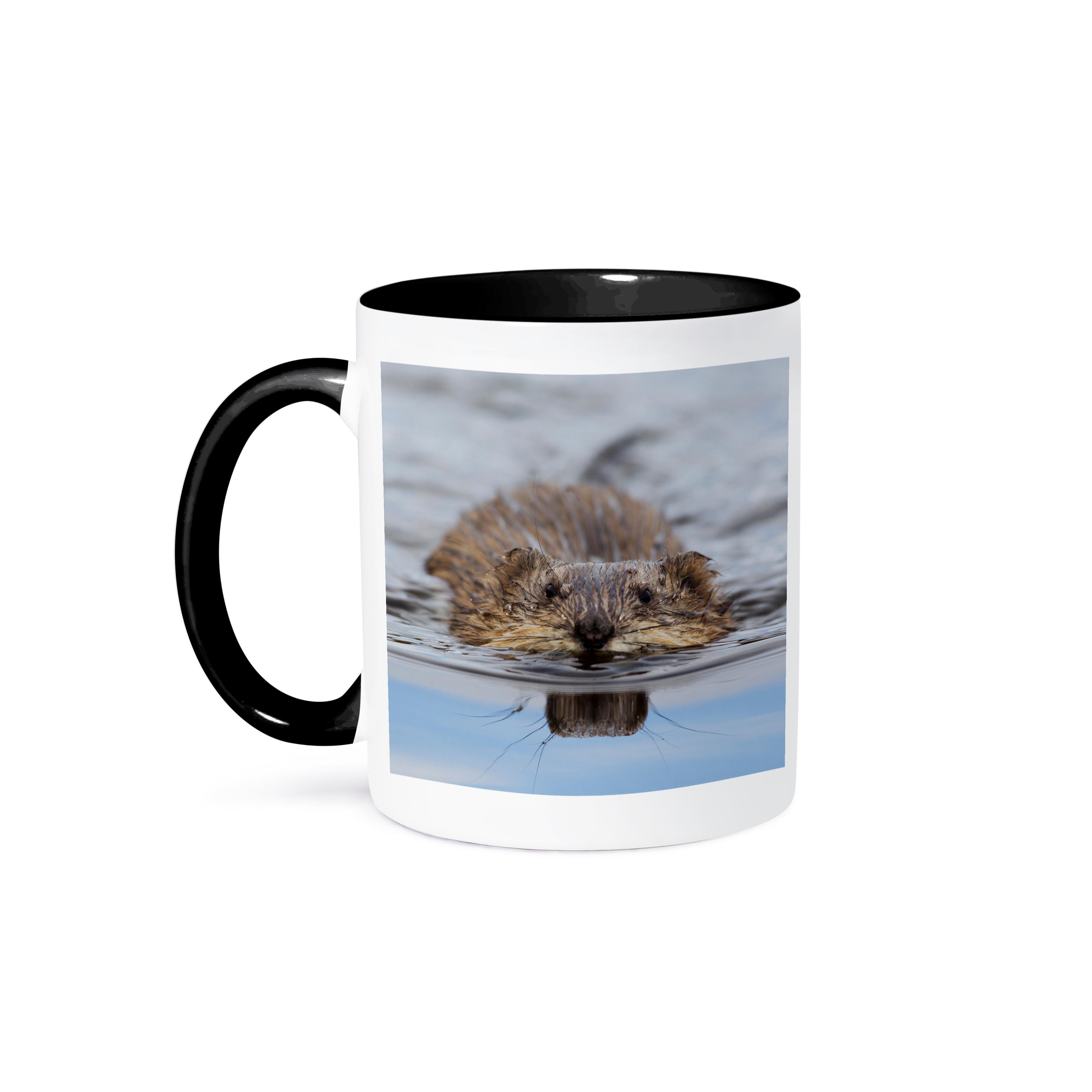 3dRose, Muskrat Swimming, Mug - Picture 15 of 99