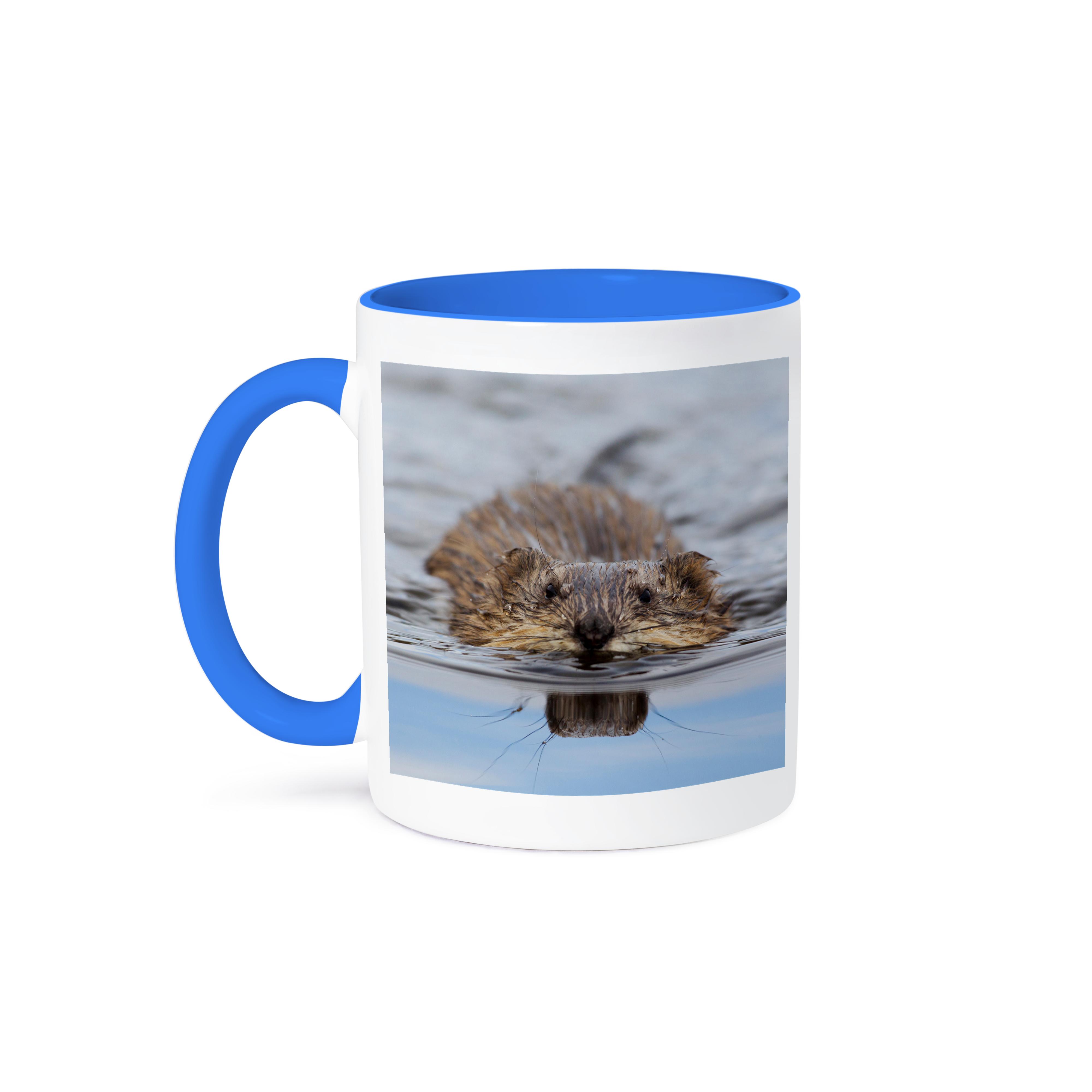 3dRose, Muskrat Swimming, Mug - Picture 50 of 99