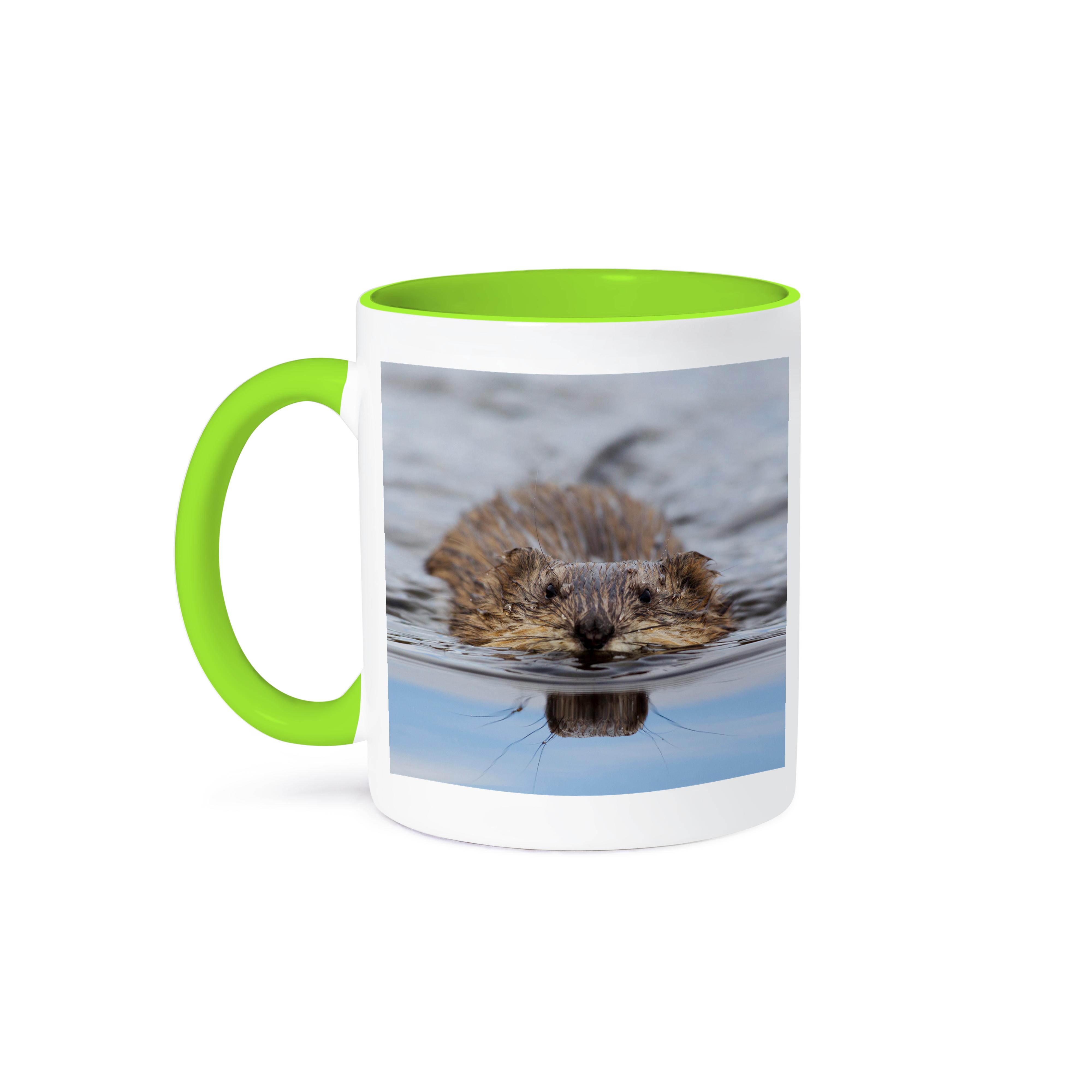 3dRose, Muskrat Swimming, Mug - Picture 79 of 99