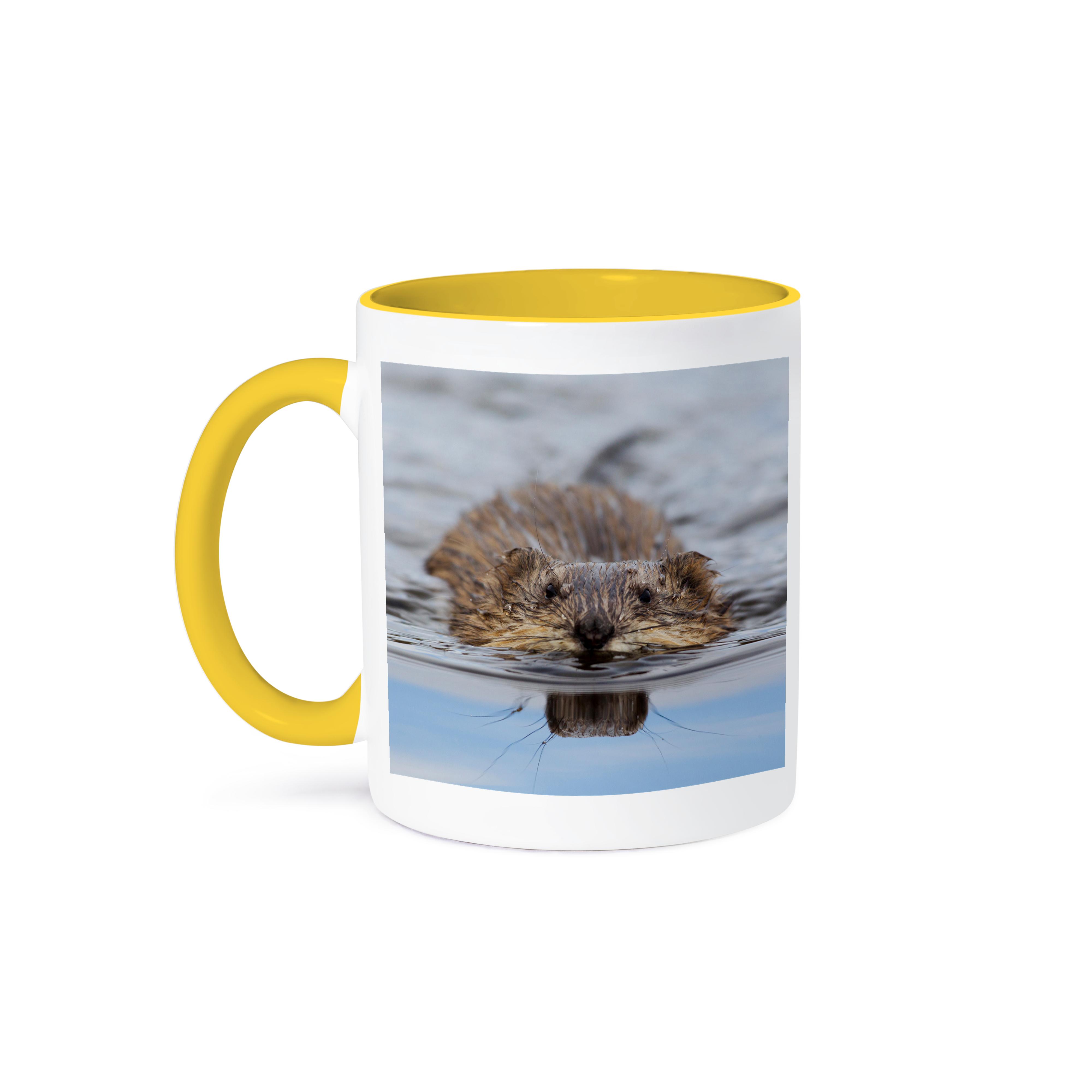 3dRose, Muskrat Swimming, Mug - Picture 36 of 99
