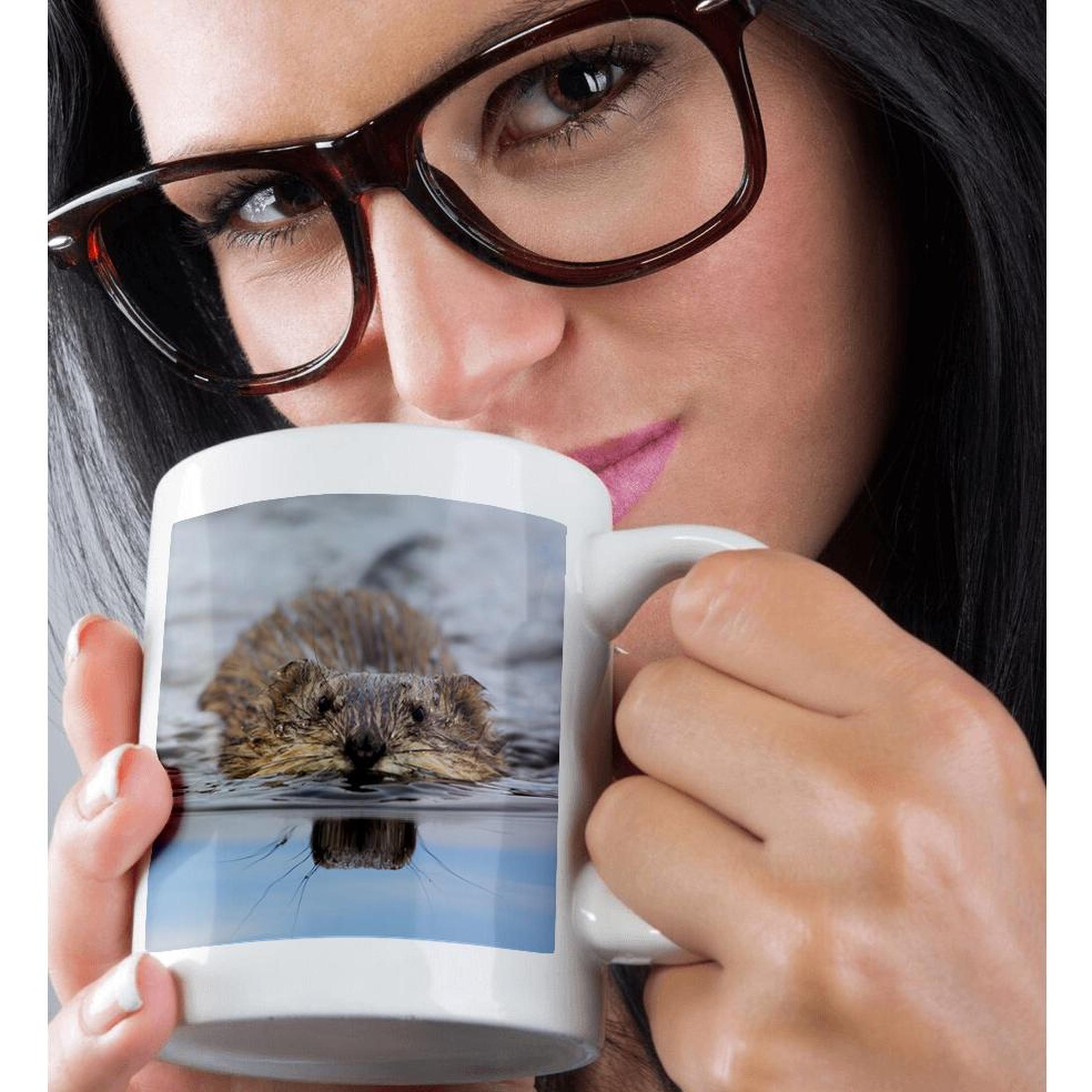 3dRose, Muskrat Swimming, Mug - Picture 30 of 99