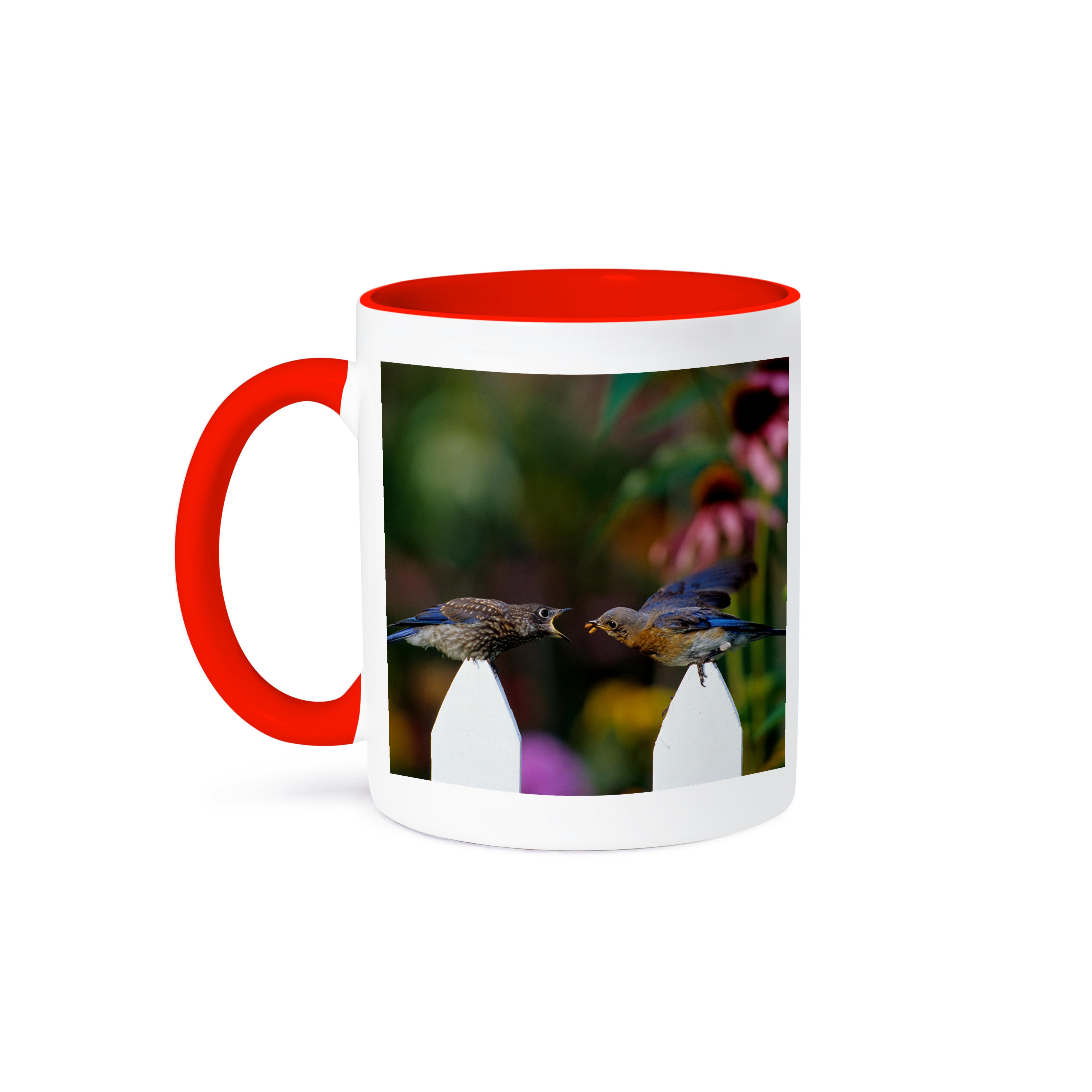 3dRose, Eastern Bluebird female feeding fledgling on picket fence near flowers, Mug and other Purchase wholesale flowers near. Free returns & net 60 terms on Faire trending on Faire.