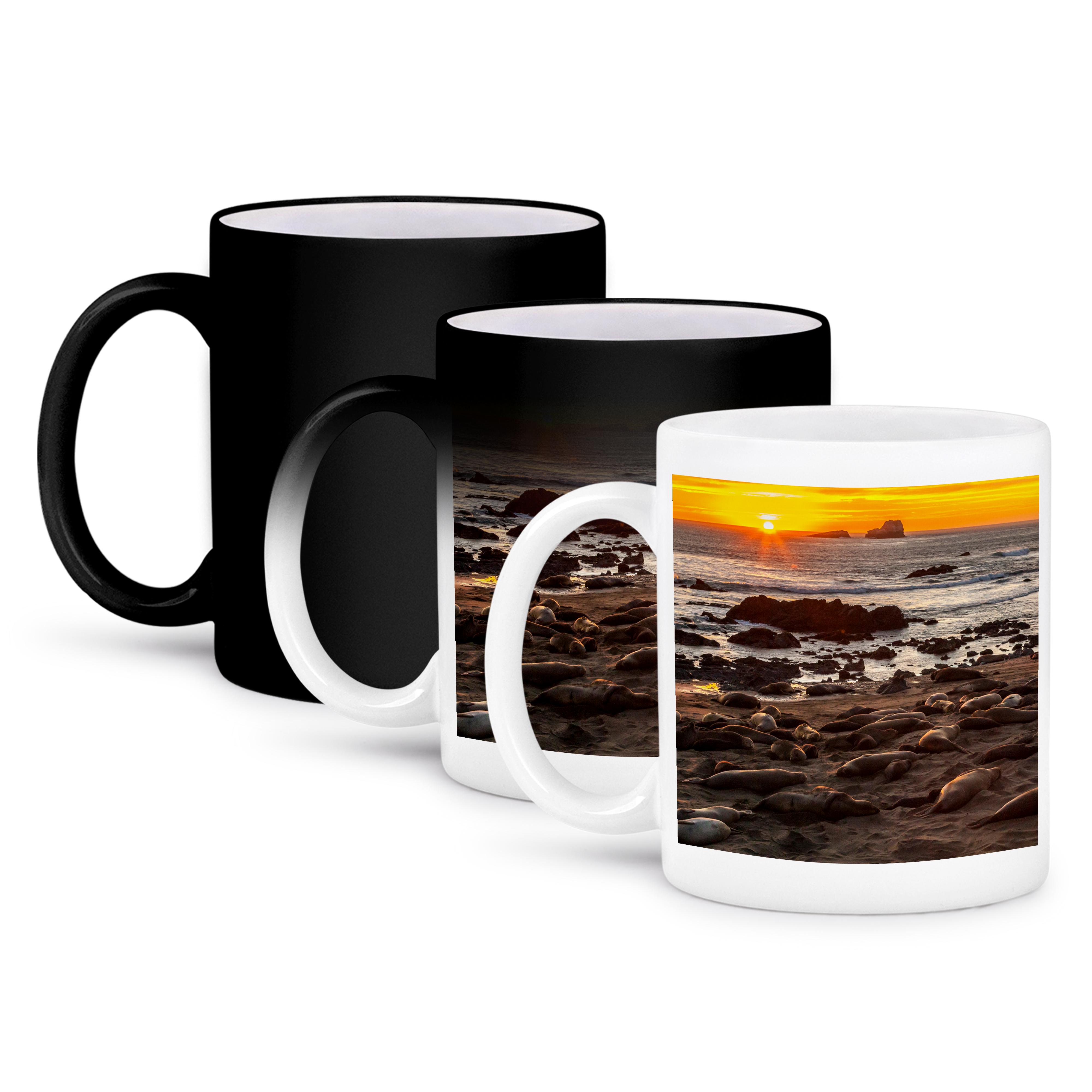 3dRose, California, Piedras Blancas. Northern elephant seals at sunset., Mug and other Purchase Wholesale piedras. Free Returns & Net 60 Terms on Faire trending on Faire.