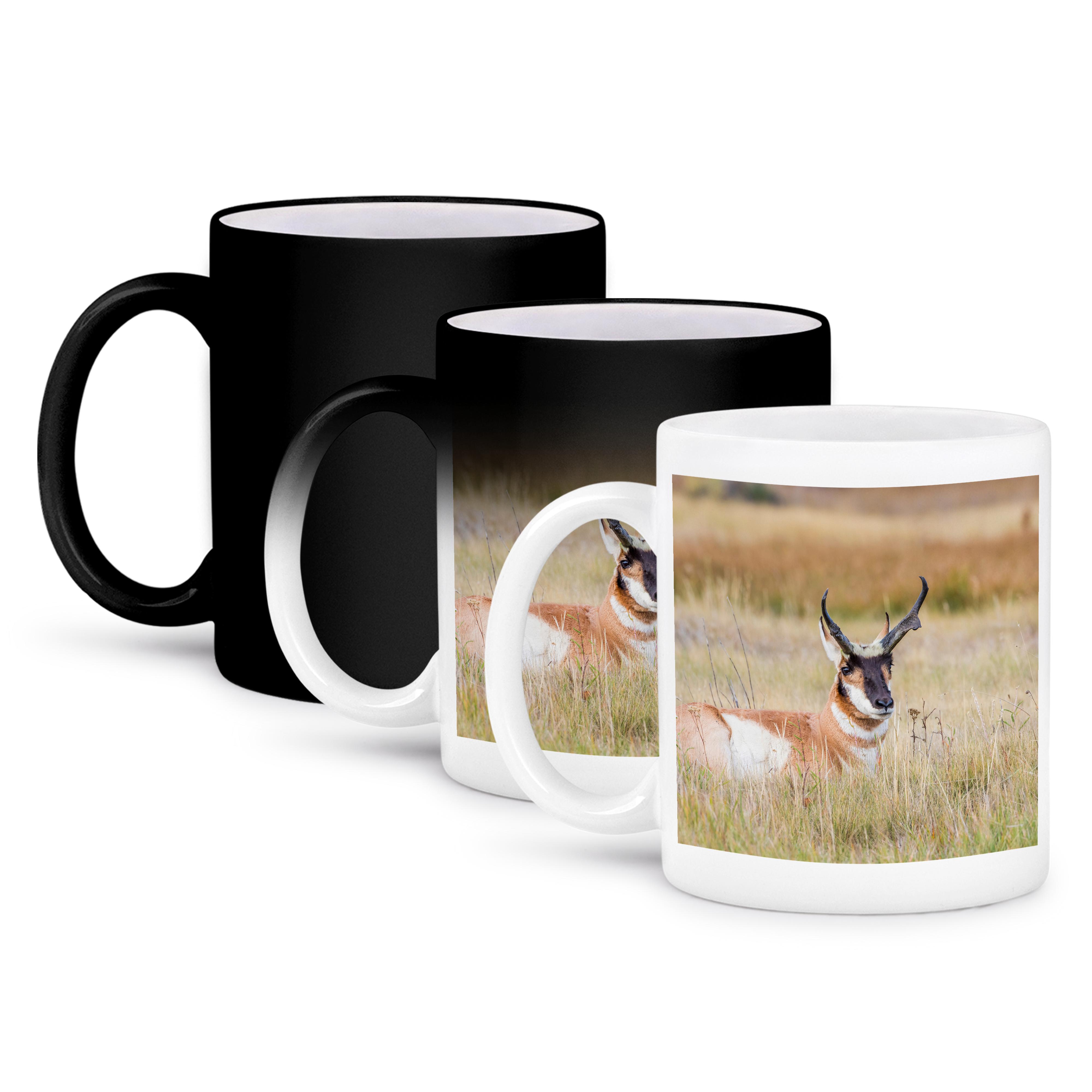 3dRose, Wyoming, Sublette County, buck Pronghorn Antelope lying in grass., Mug and other Purchase Wholesale location. Free Returns & Net 60 Terms on Faire trending on Faire.