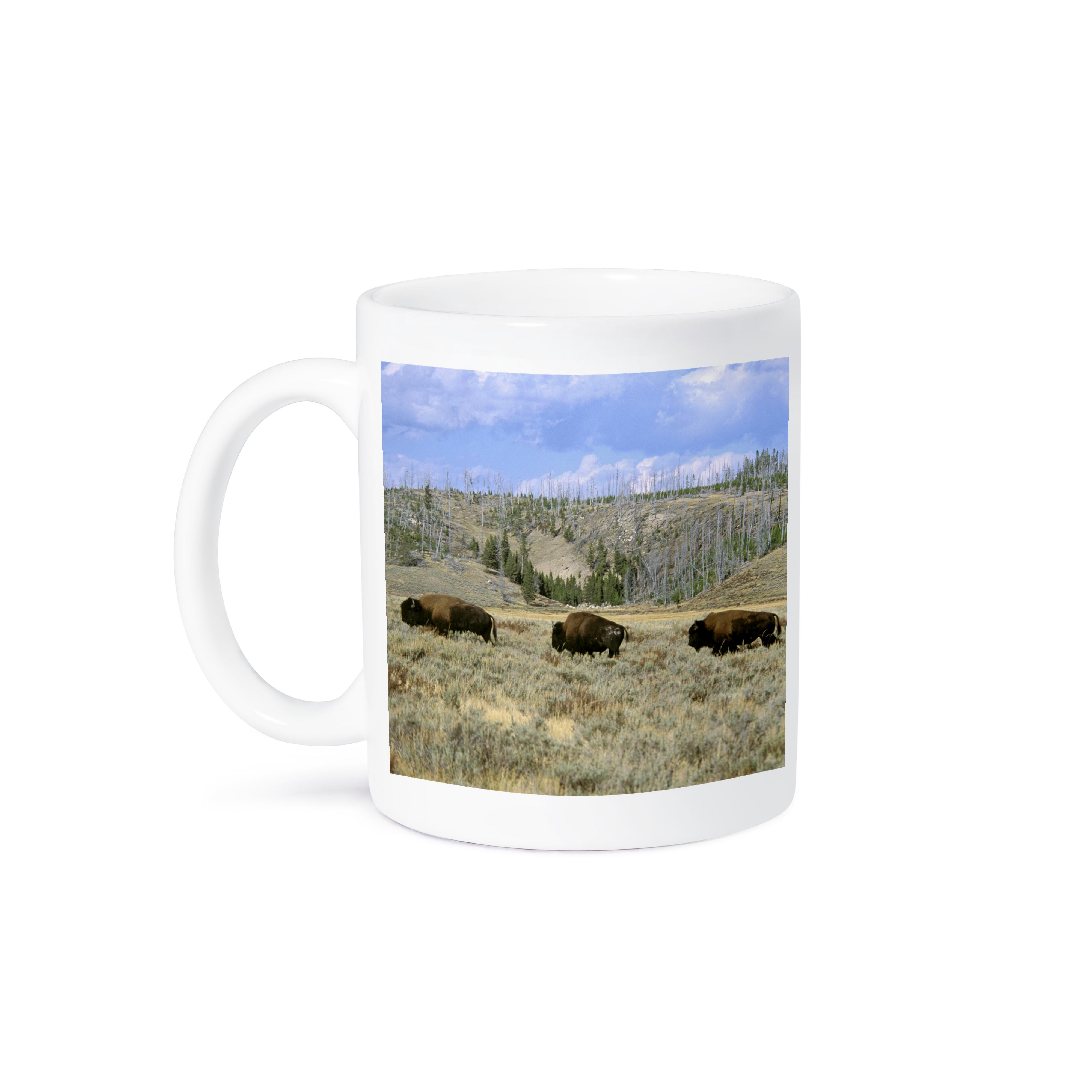 3dRose, USA, Wyoming, Yellowstone NP, Bison - US51 TVE0011 - Tom Vezo, Mug - Picture 29 of 99