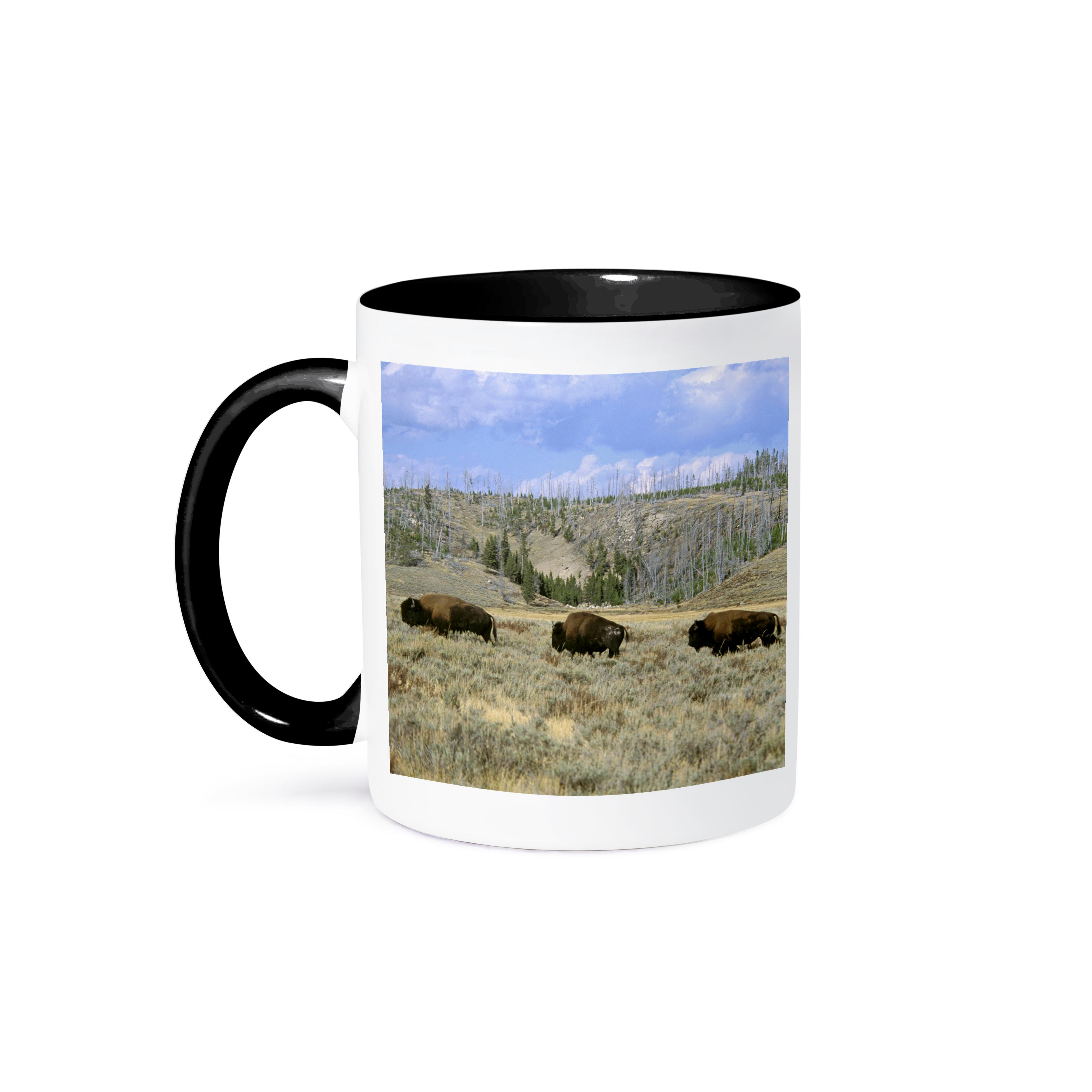 3dRose, USA, Wyoming, Yellowstone NP, Bison - US51 TVE0011 - Tom Vezo, Mug - Picture 15 of 99