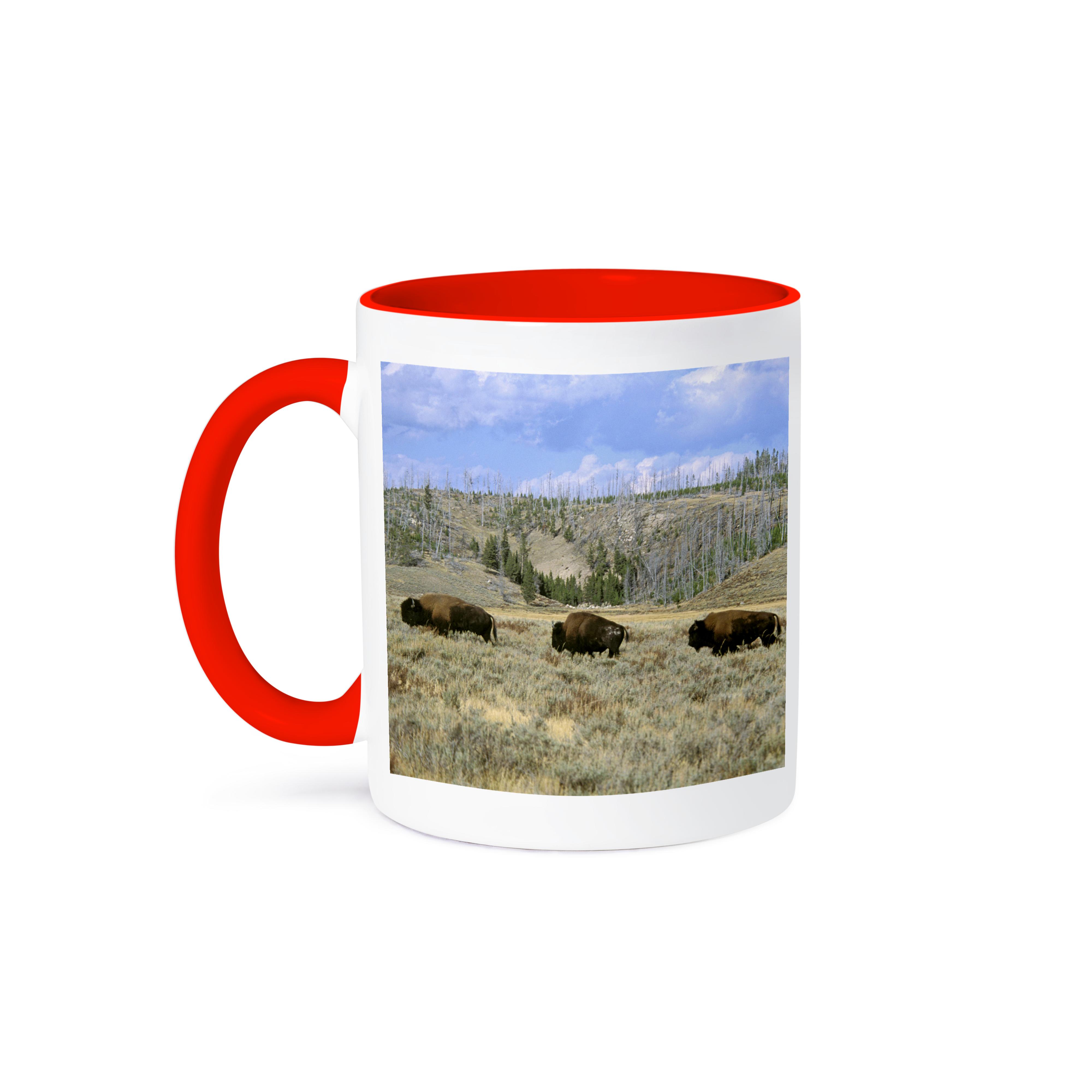 3dRose, USA, Wyoming, Yellowstone NP, Bison - US51 TVE0011 - Tom Vezo, Mug - Picture 8 of 99