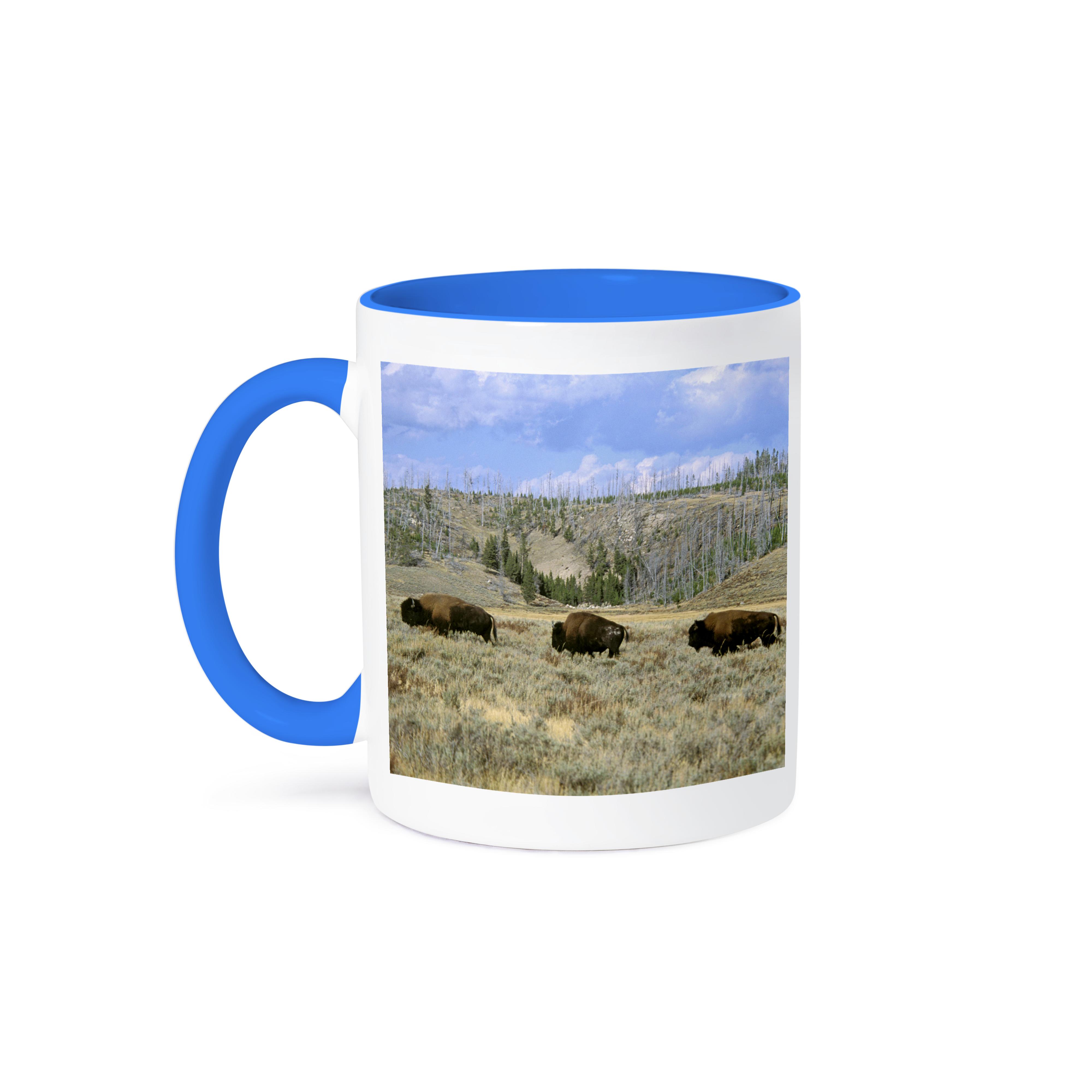 3dRose, USA, Wyoming, Yellowstone NP, Bison - US51 TVE0011 - Tom Vezo, Mug - Picture 50 of 99