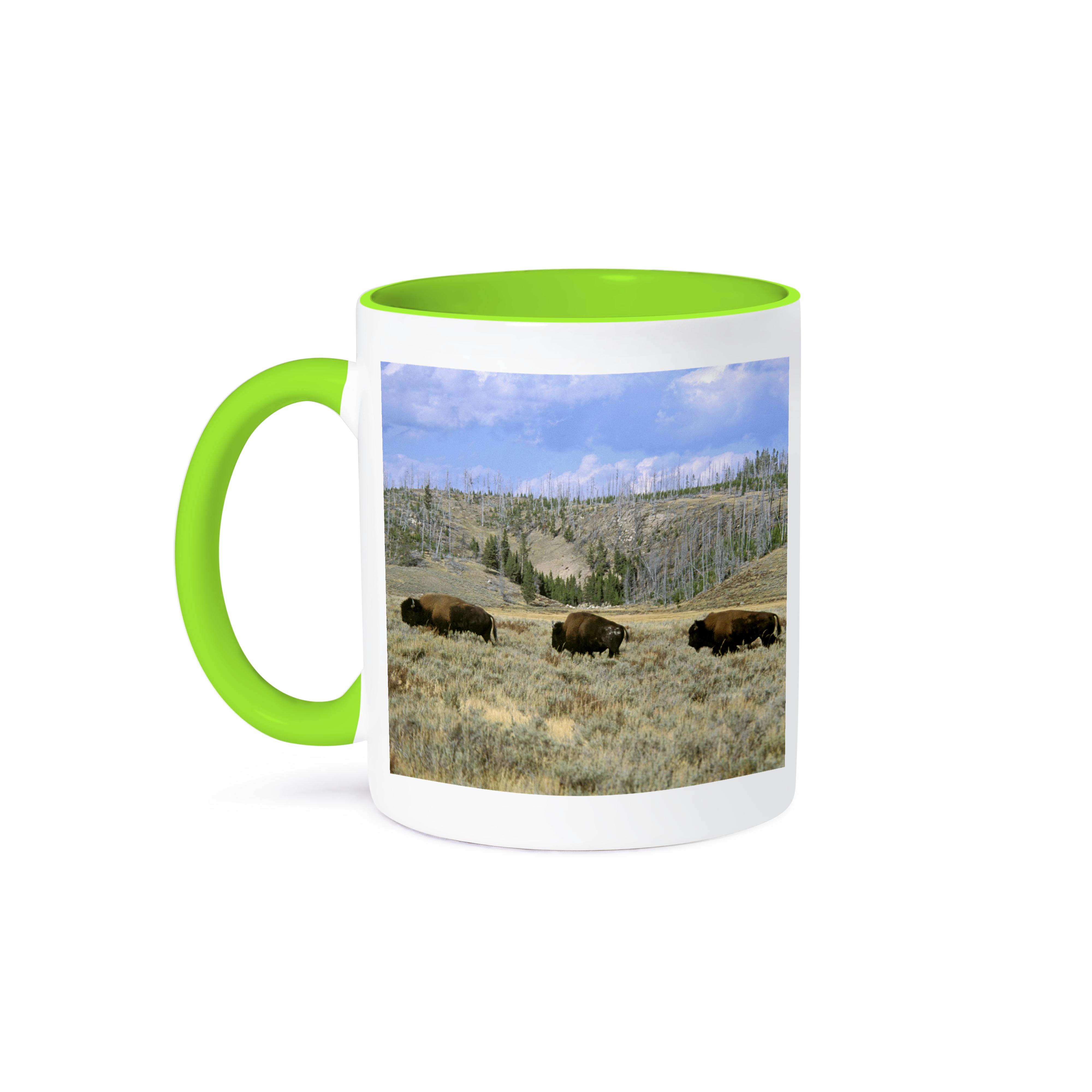 3dRose, USA, Wyoming, Yellowstone NP, Bison - US51 TVE0011 - Tom Vezo, Mug - Picture 79 of 99