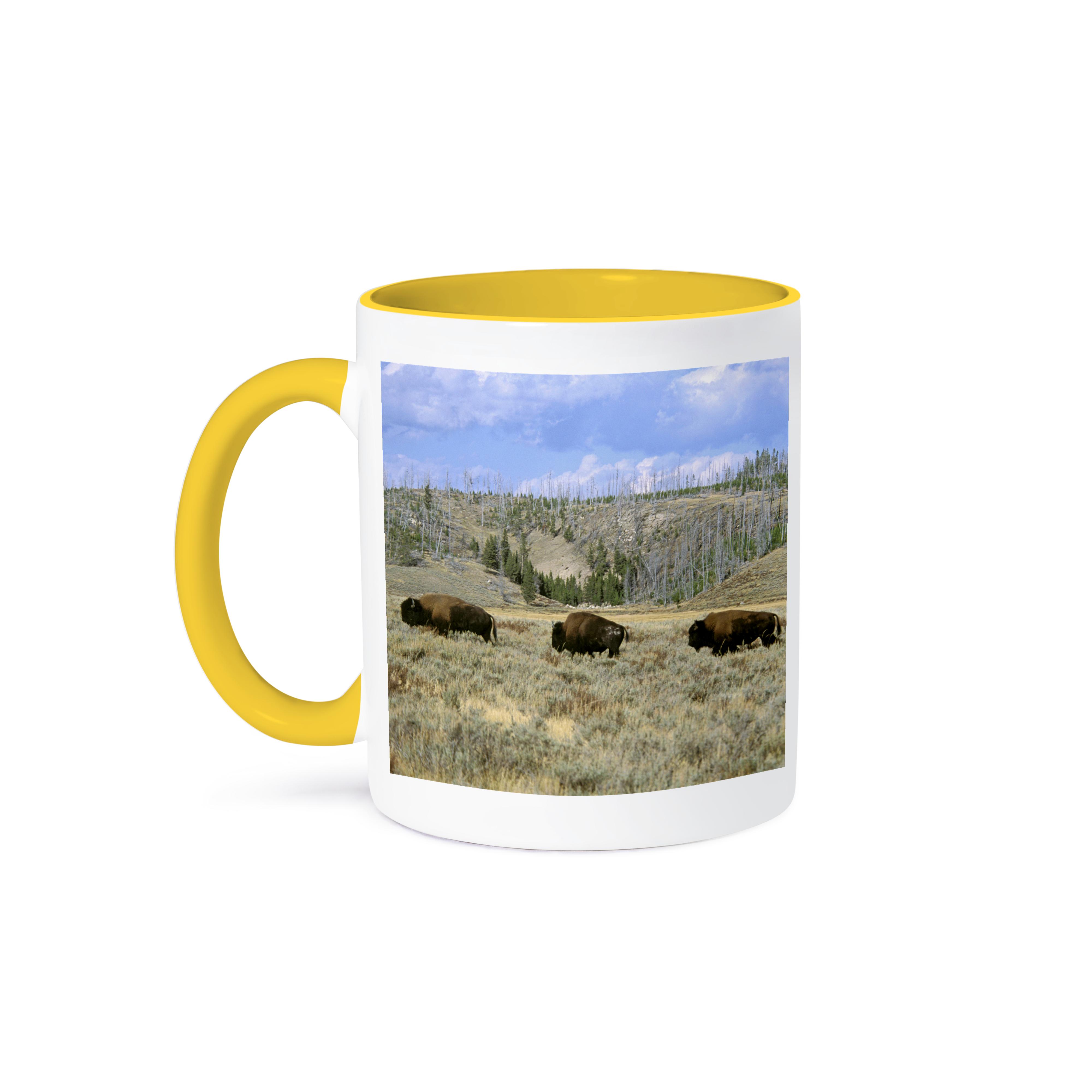 3dRose, USA, Wyoming, Yellowstone NP, Bison - US51 TVE0011 - Tom Vezo, Mug - Picture 36 of 99
