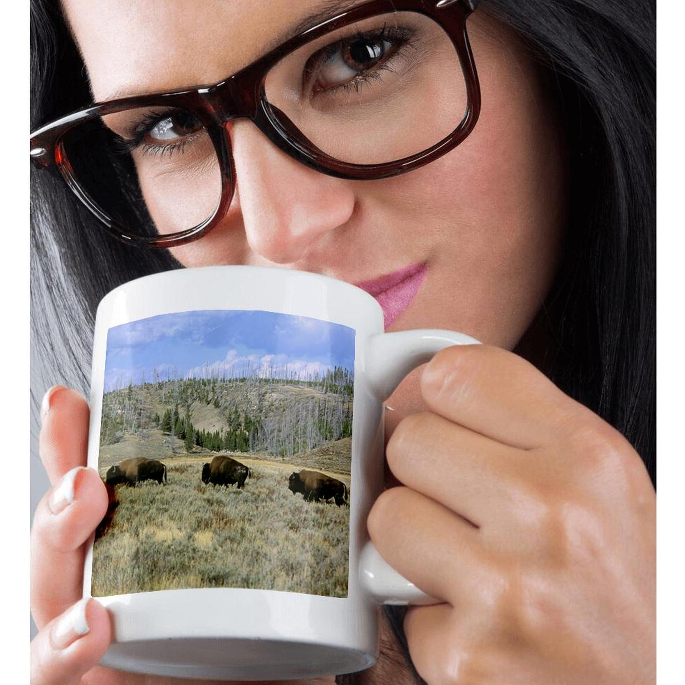 3dRose, USA, Wyoming, Yellowstone NP, Bison - US51 TVE0011 - Tom Vezo, Mug - Picture 30 of 99