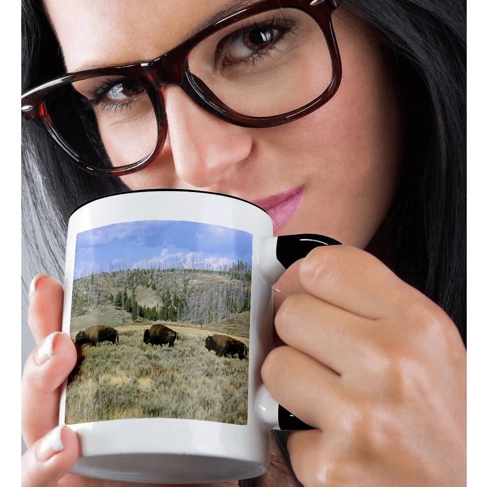 3dRose, USA, Wyoming, Yellowstone NP, Bison - US51 TVE0011 - Tom Vezo, Mug - Picture 16 of 99