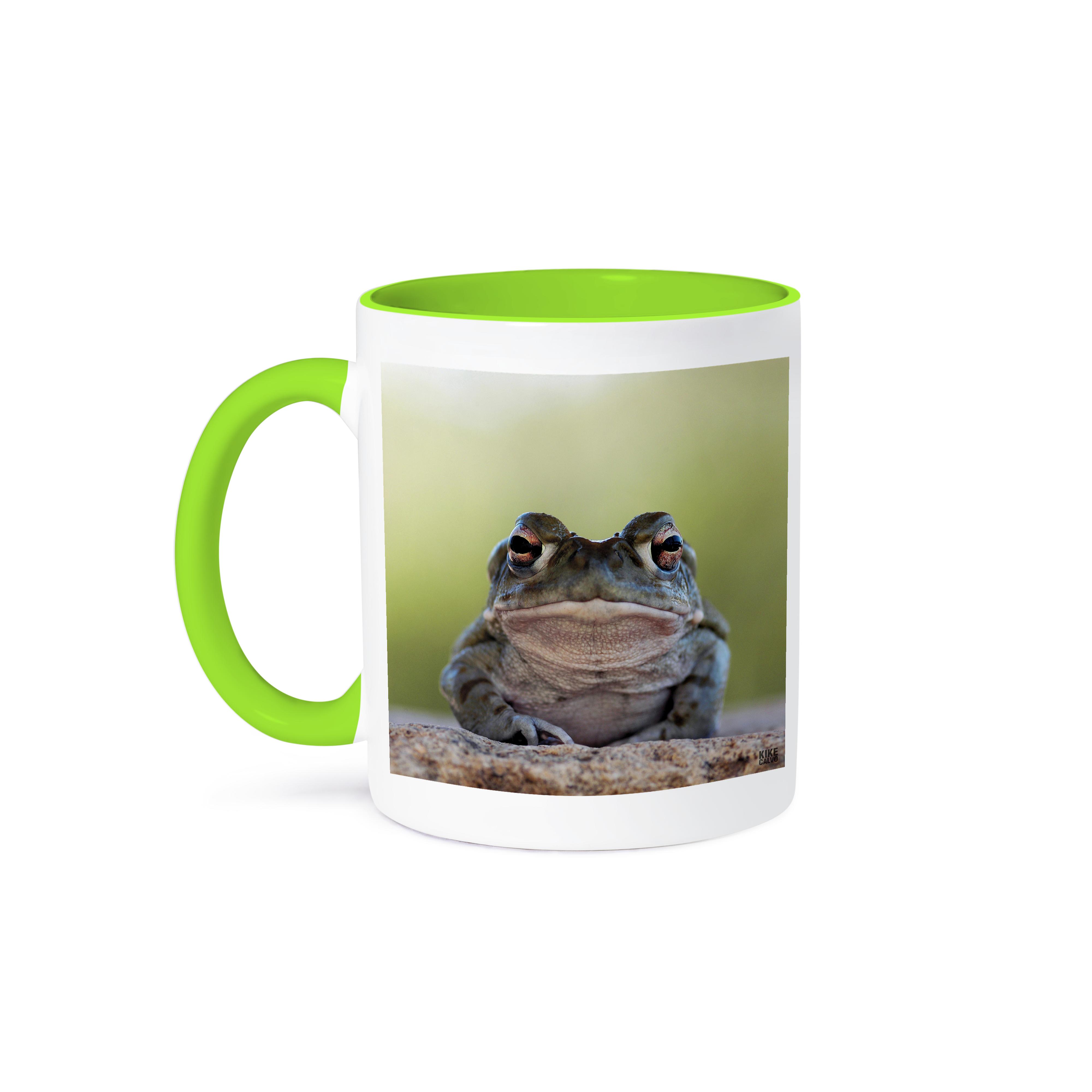 3dRose, Sonoran desert Toad, Bufo alvarius, Mug - Picture 79 of 99