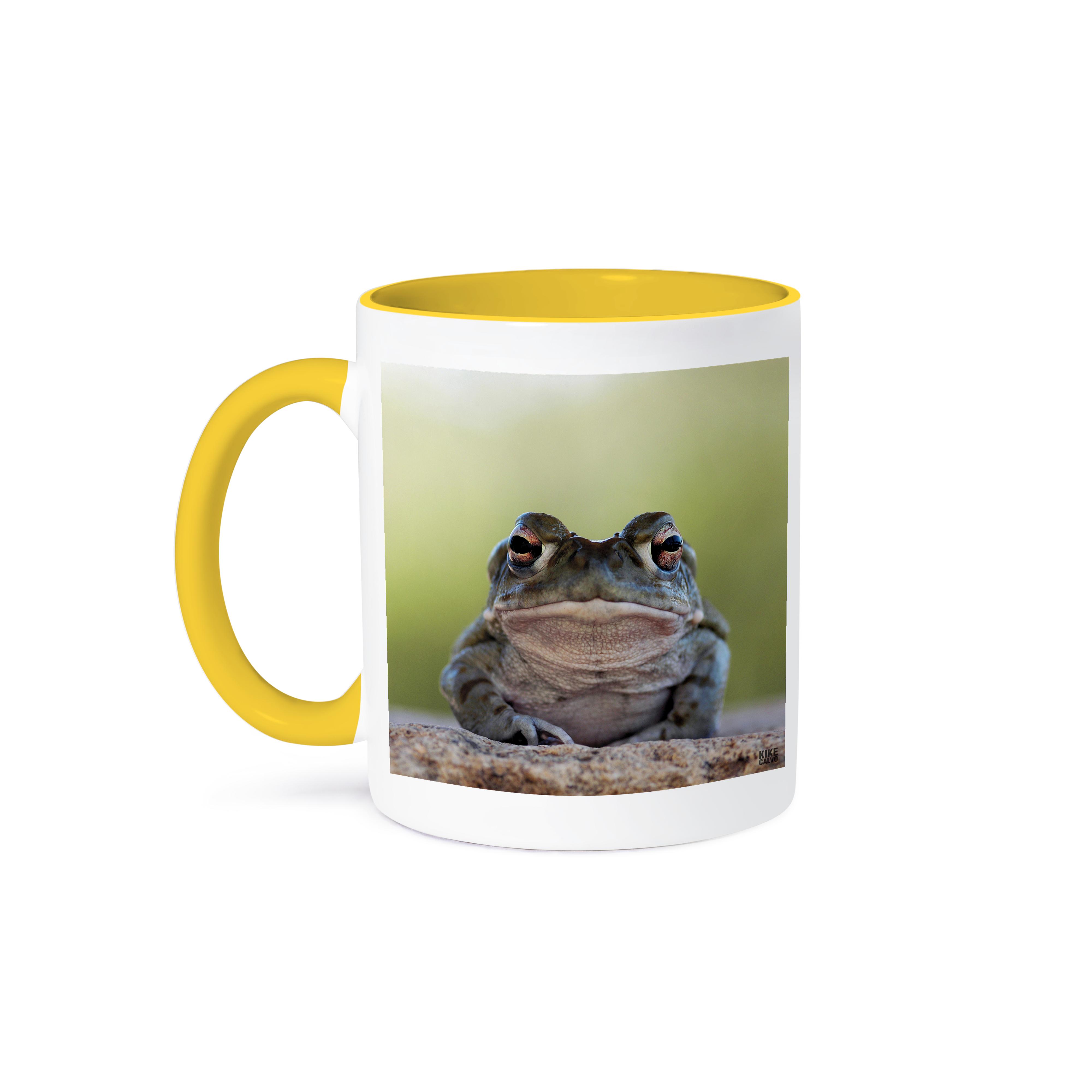 3dRose, Sonoran desert Toad, Bufo alvarius, Mug - Picture 36 of 99