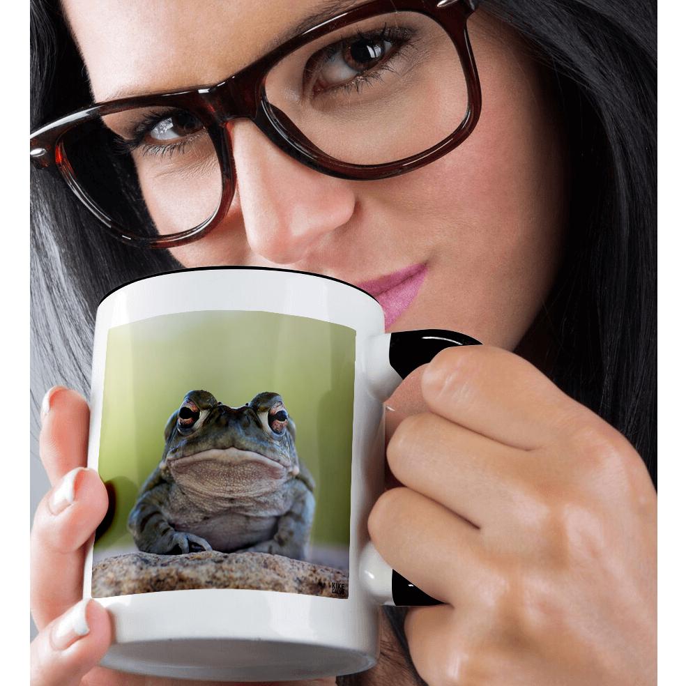 3dRose, Sonoran desert Toad, Bufo alvarius, Mug - Picture 16 of 99
