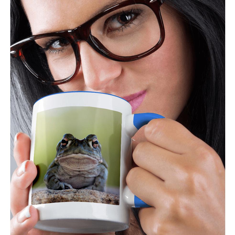 3dRose, Sonoran desert Toad, Bufo alvarius, Mug - Picture 51 of 99