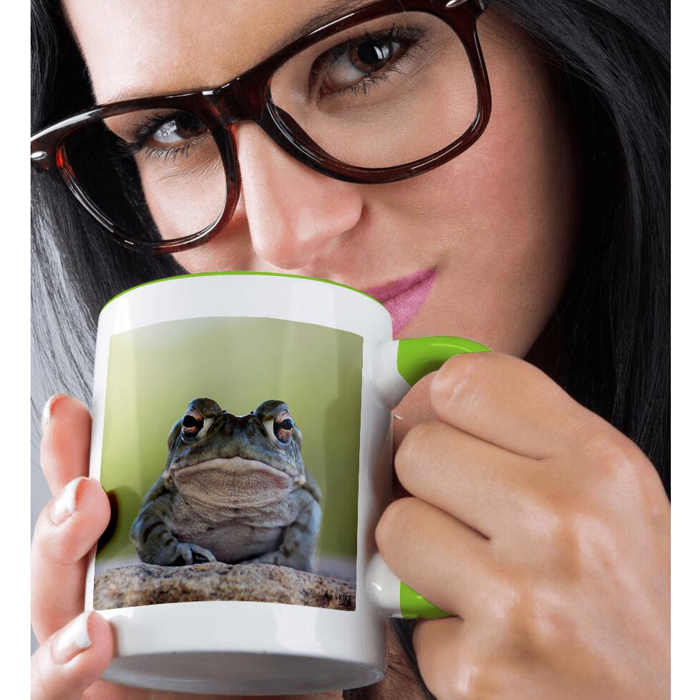 3dRose, Sonoran desert Toad, Bufo alvarius, Mug - Picture 80 of 99