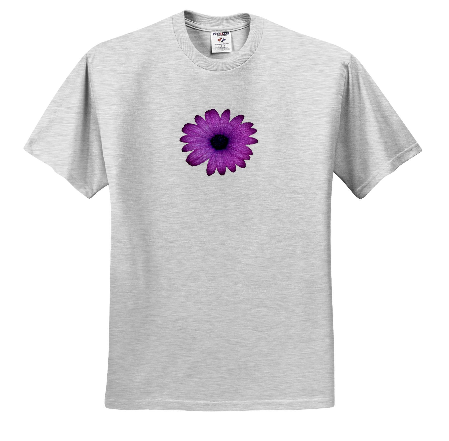 3dRose, Purple Daisy And Raindrops Isolated, T-Shirt - Picture 11 of 148