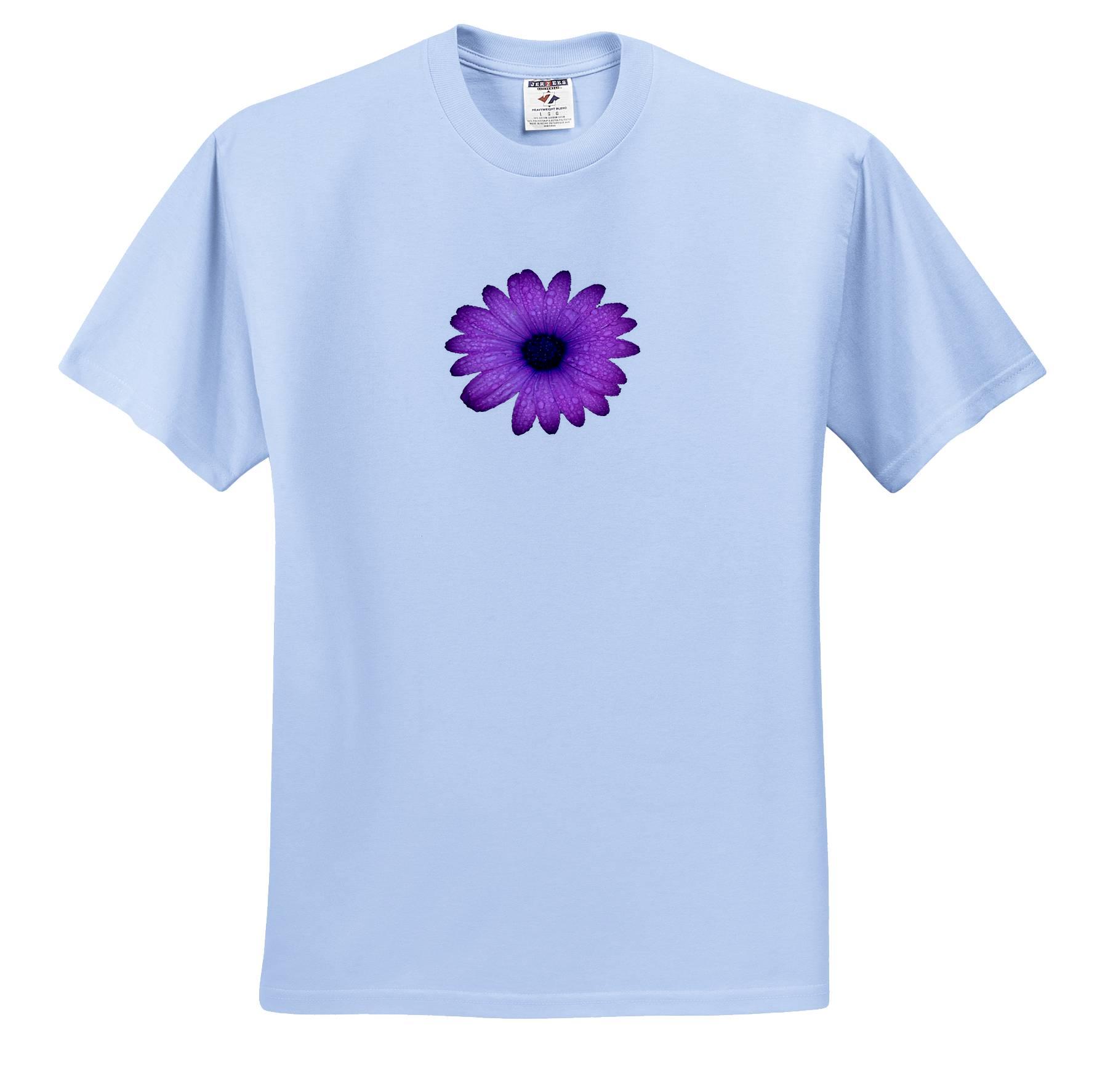 3dRose, Purple Daisy And Raindrops Isolated, T-Shirt - Picture 5 of 148