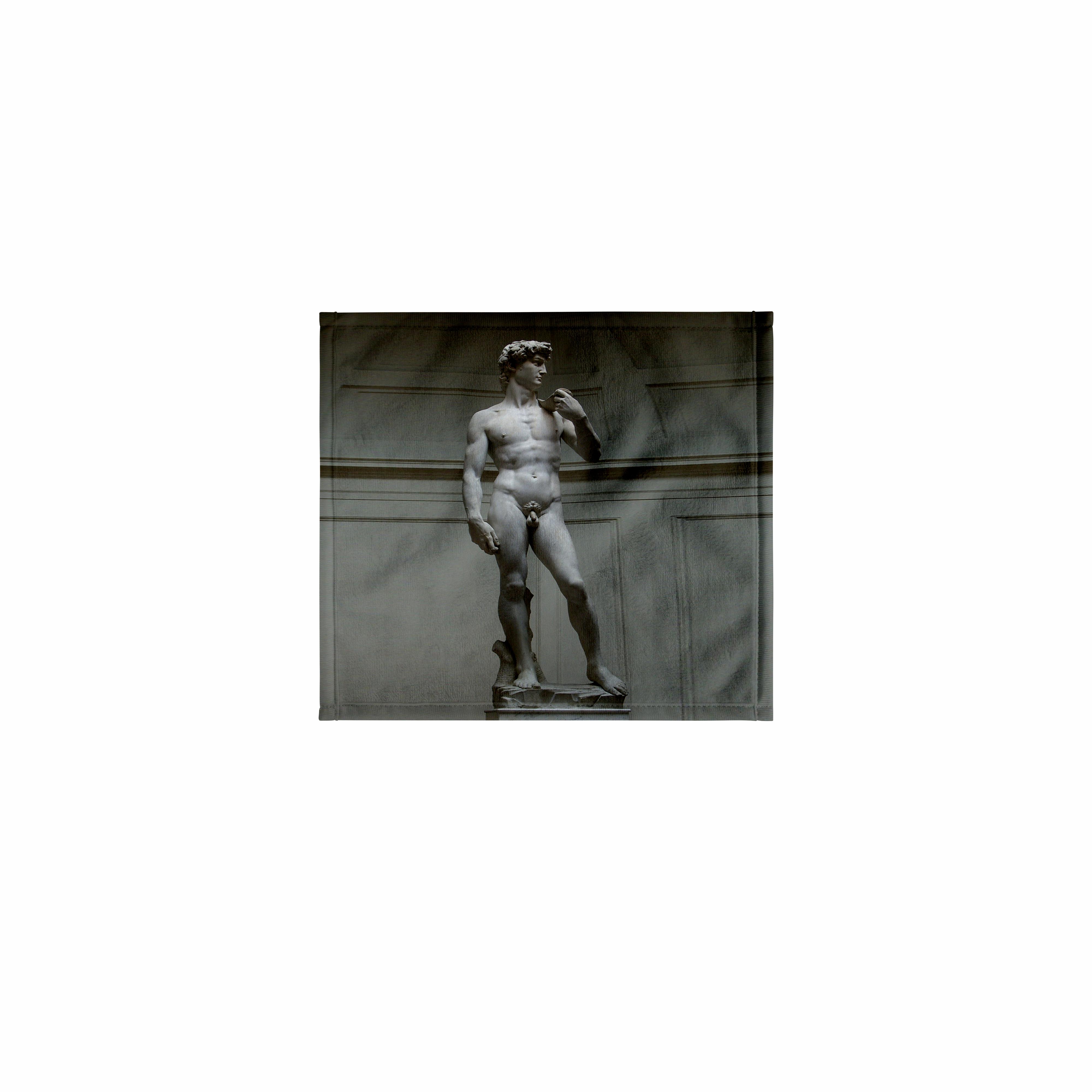 3dRose, Michaelangelos David Statue, Towel