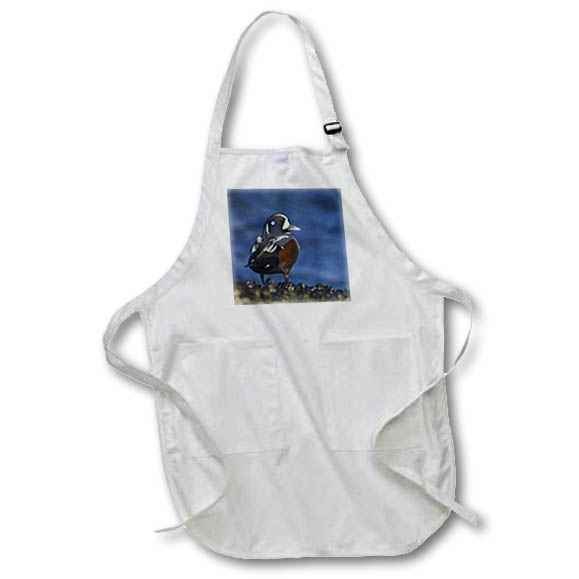 Apron - Harlequin duck Ducks