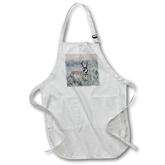 Apron - Pronghorn antelope buck autumn rain. Animals