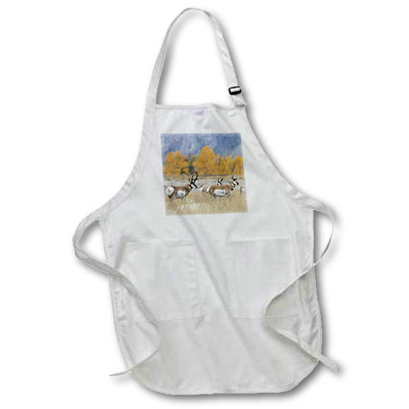 Apron - Pronghorn antelope autumn on the high plains. Animals