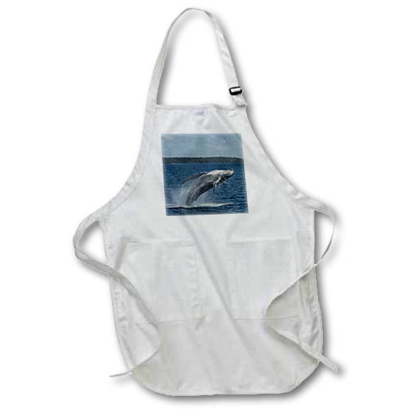 Apron - South Pacific, Tonga. Humpback whale breaching. Whales