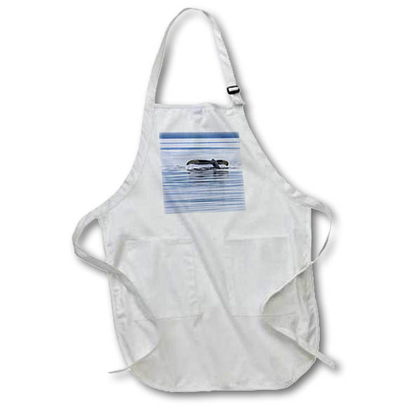 Apron - USA, Alaska, Chatham Strait. Humpback whale diving. Whales