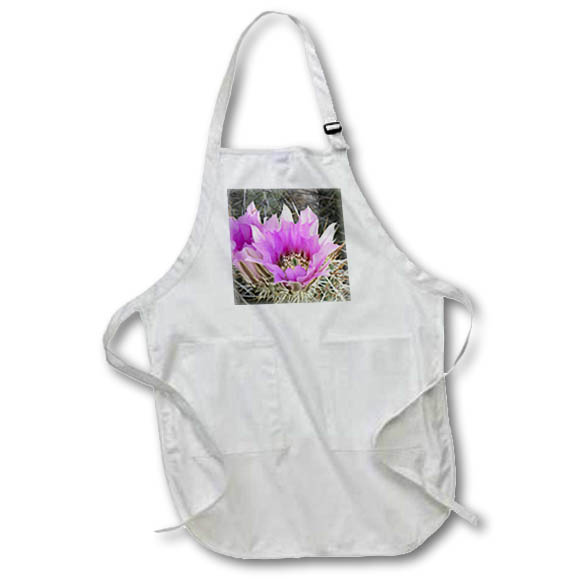 Apron - Arizona. Flowers on Engelmanns Hedgehog cactus, Organ Pipe Cactus N.M Cactus
