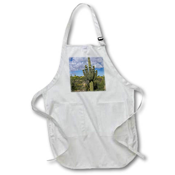 Apron - USA, Arizona, Tucson, Saguaro National Park. Cactus