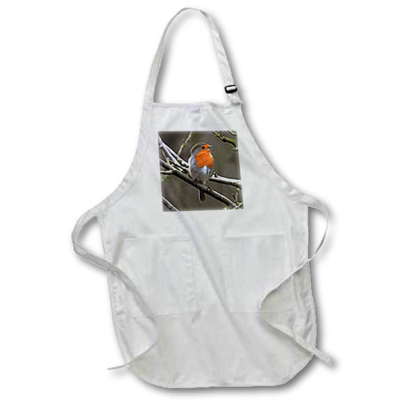 Apron - European Robin Red and Grey Painting Acrylic Painting - Robin