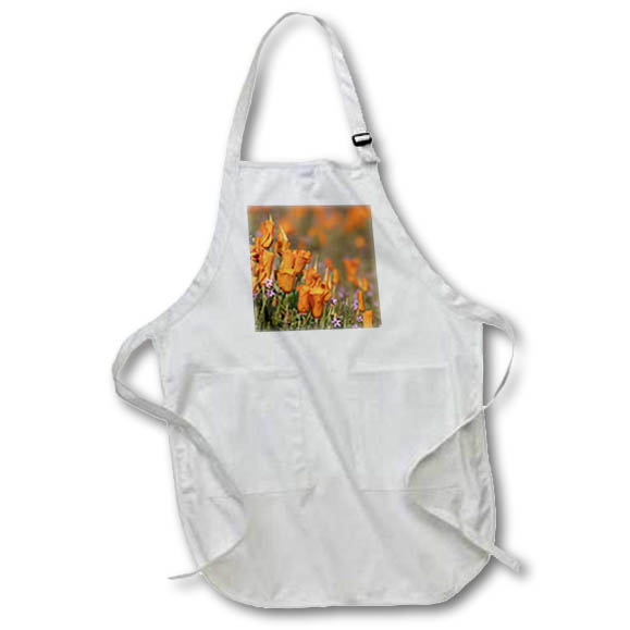 Apron - USA, California, Mojave Desert. California poppies. Flower
