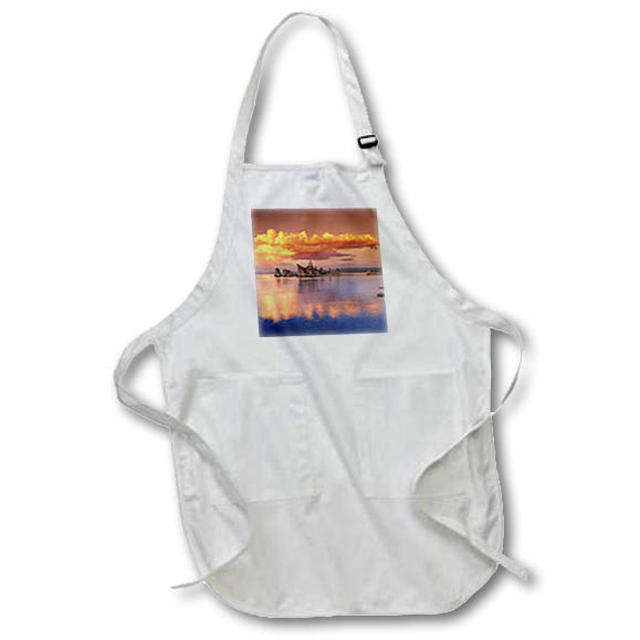 Apron - Tufa formations at sunset, Mono Lake, California Lakes